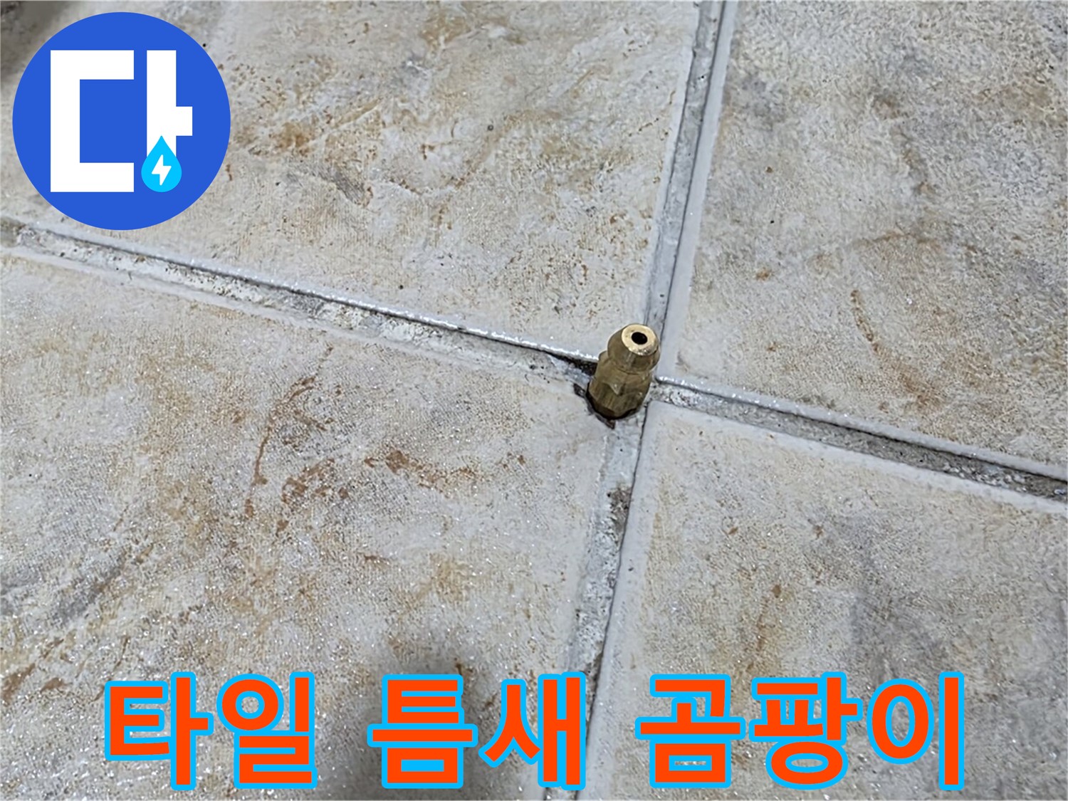타일 틈새 곰팡이 - 꼼꼼한 곰팡이 제거와 완벽 방수