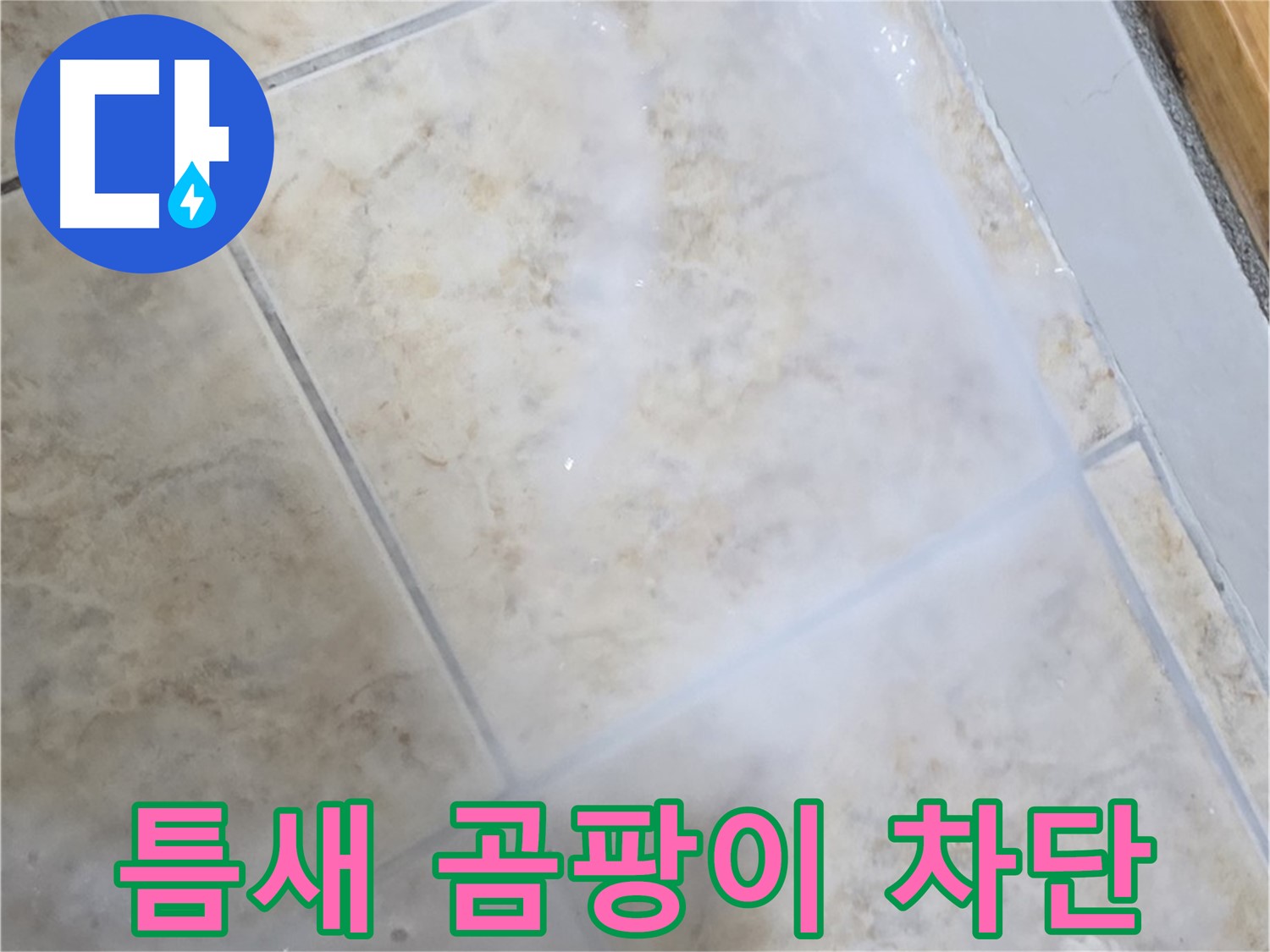 타일 틈새 곰팡이 - 제거 후 완벽 차단 시공 - 누수 걱정 끝