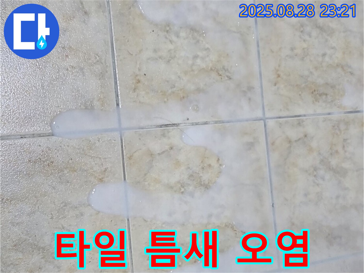 타일 틈새 오염 - 묵동 욕실 타일 틈새 오염 - 누수와 곰팡이 발생 가능성을 높입니다.