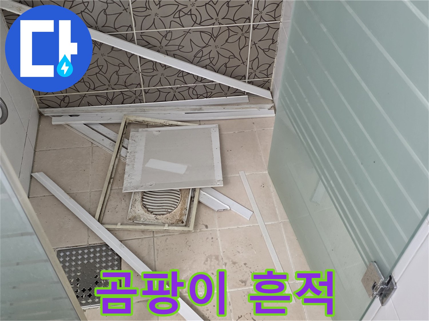 양주 백석 서광아파트 누수 - 점검구 주변, 곰팡이 흔적 발견