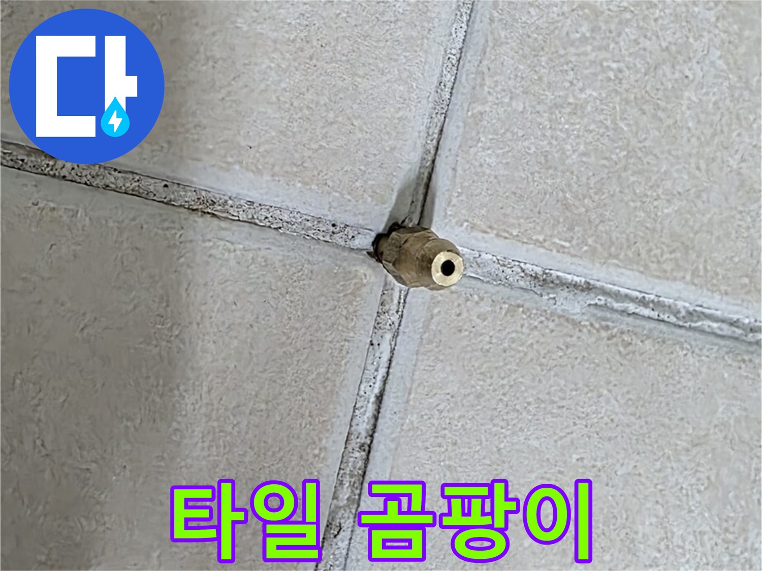 양주 백석 서광아파트 누수 - 타일 틈새의 곰팡이는 누수뿐만 아니라 건강에도 악영향을 미칠 수 있습니다.