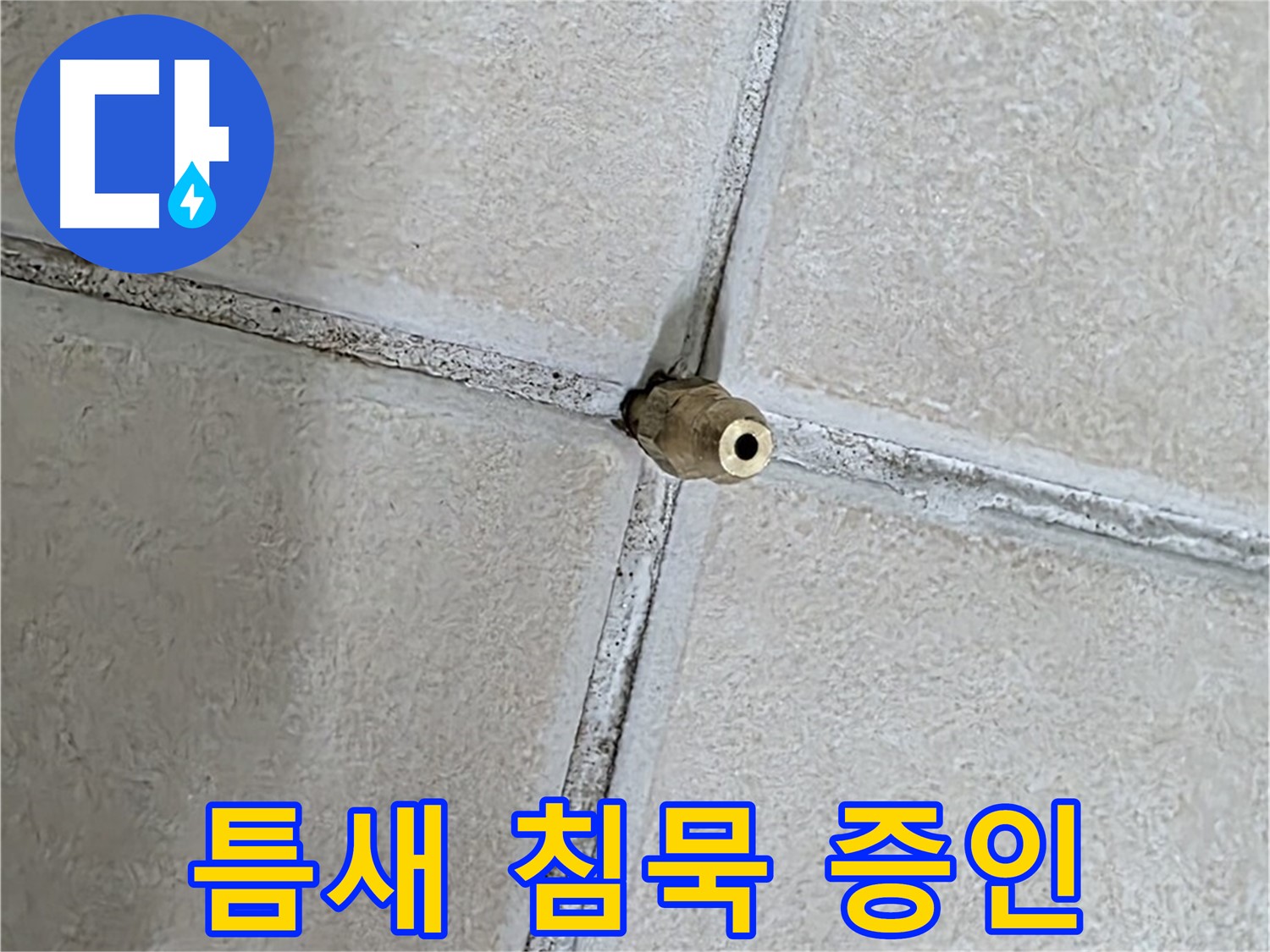 양주 백석 서광아파트 누수 - 틈새는 누수의 모든 것을 지켜본 침묵의 증인입니다.