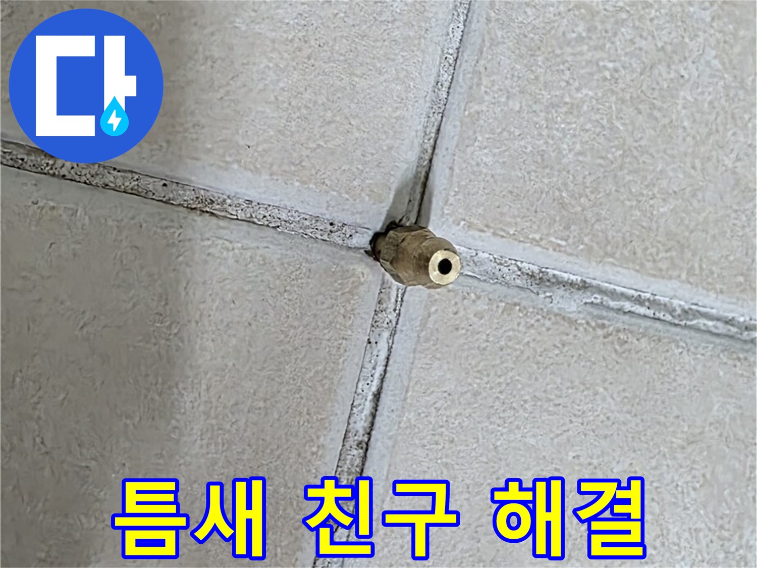 양주 백석 서광아파트 누수 - 틈새와 친구가 되어 누수 문제를 해결하는 긍정적인 마인드.