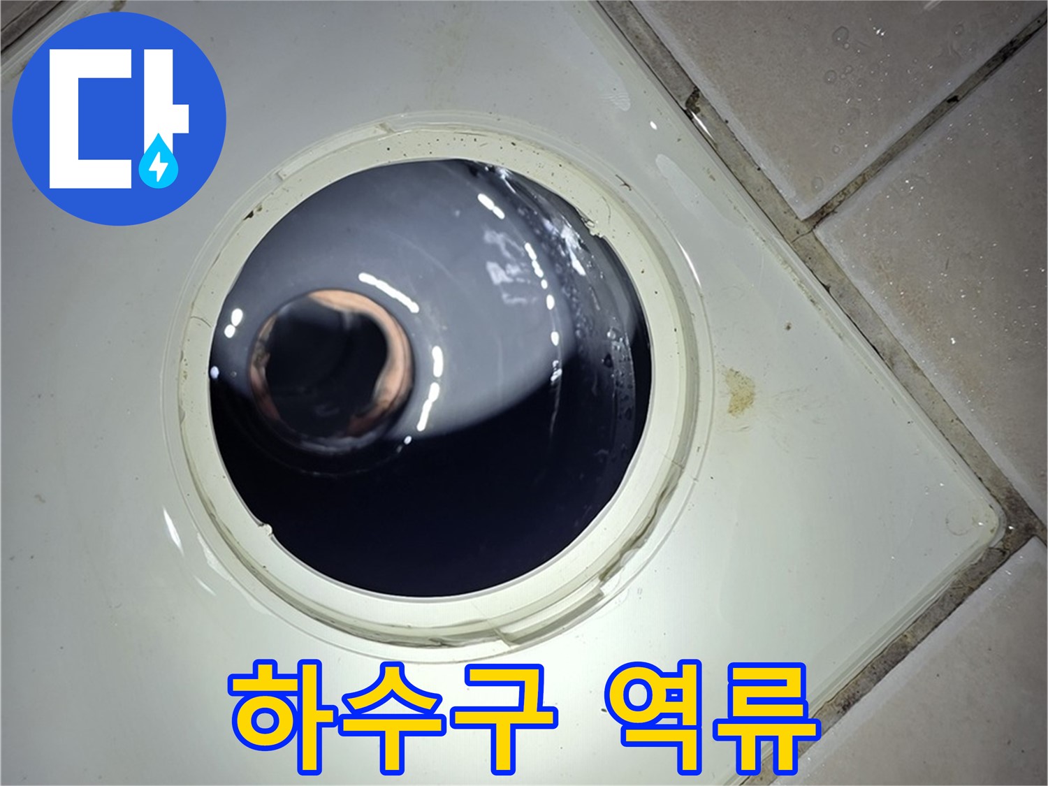 양주 백석 서광아파트 세탁실 하수구 역류 - 찌꺼기 제거, 배수 테스트