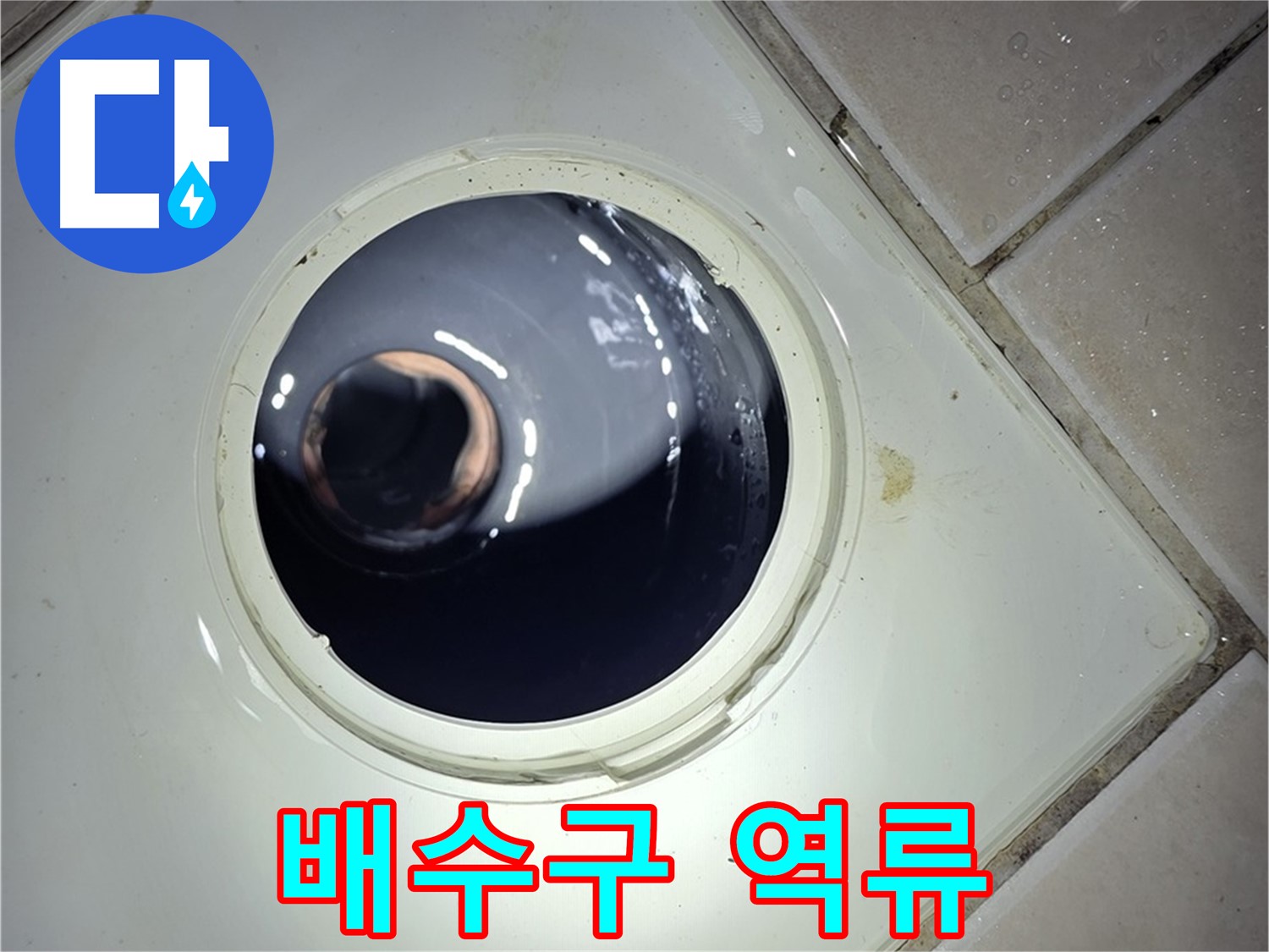 양주 백석 서광아파트 싱크대 배수구 역류 - 석션기로 강력 흡입