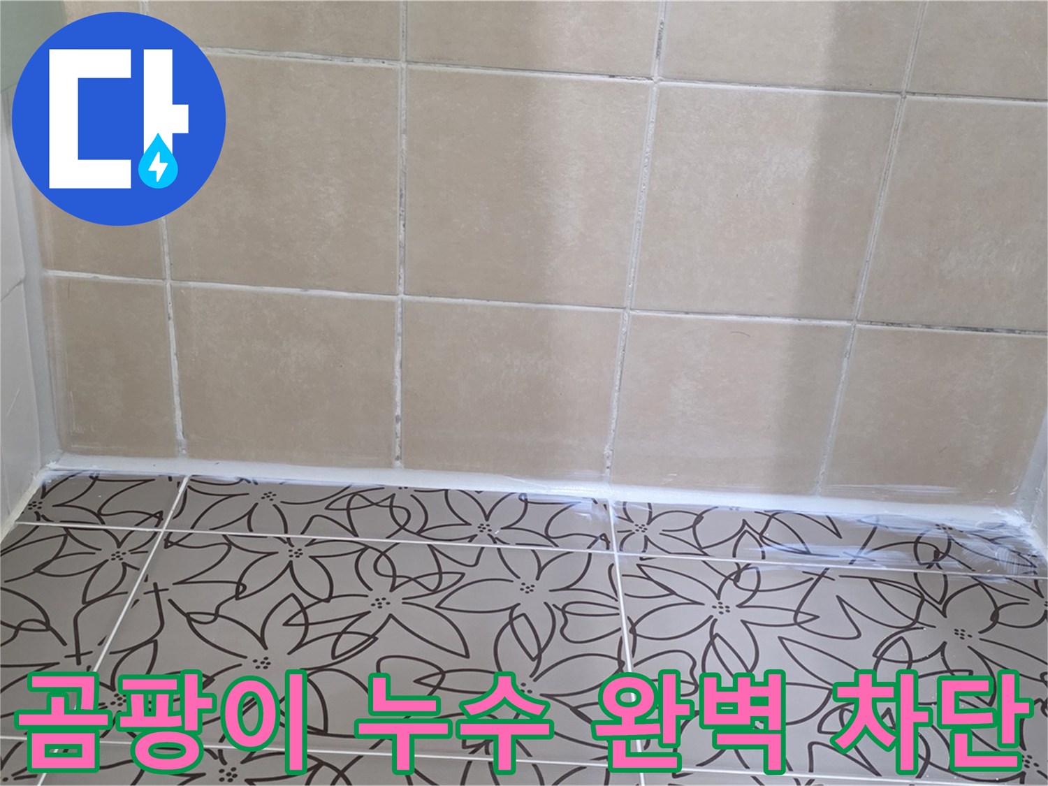 양주 백석 서광아파트 욕실 누수 - 곰팡이 문제와 누수 해결, 완벽한 누수 차단으로 쾌적한 욕실 환경 조성