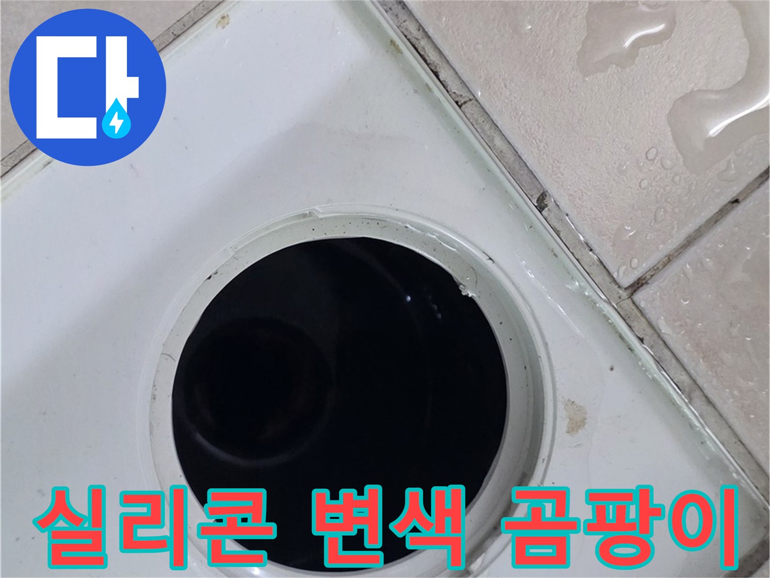 양주시 백석읍 서광아파트 누수 - 배수구 주변 실리콘의 변색 및 곰팡이 상태를 점검하는 모습입니다.