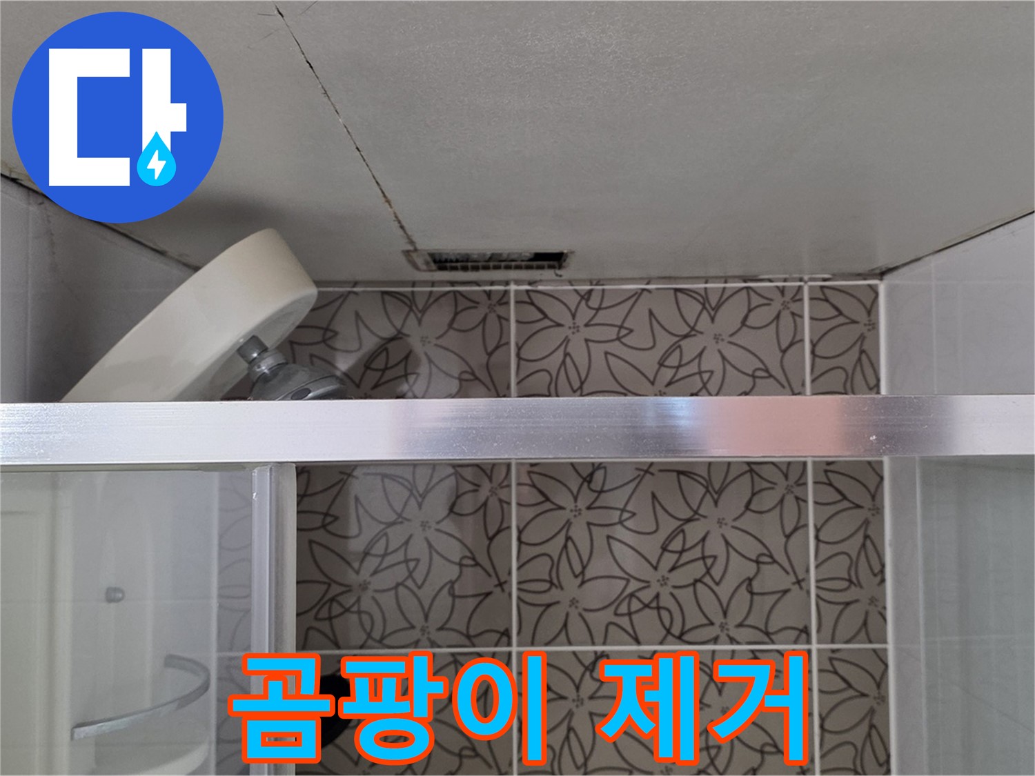 양주시 백석읍 서광아파트 천장 누수 - 곰팡이 제거 서비스 제공