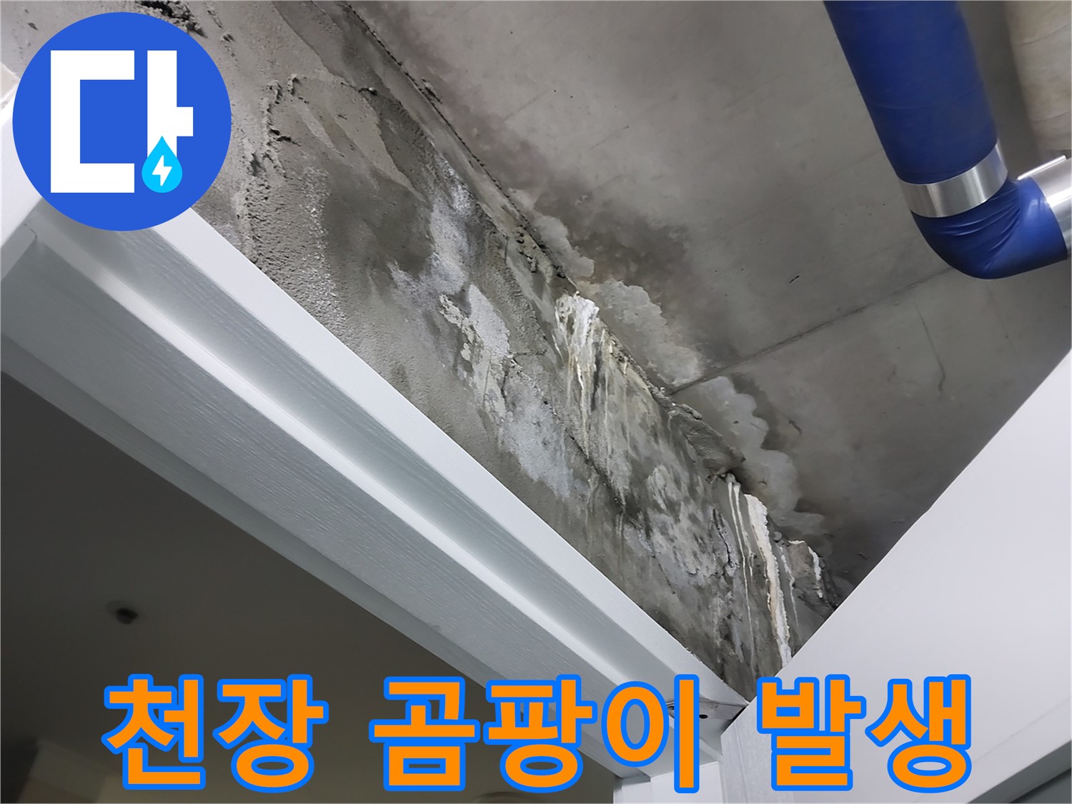 문 위 천장 - 곰팡이 발생 - 누수로 인해 천장에 곰팡이가 발생한 모습을 보여주는 사진입니다.