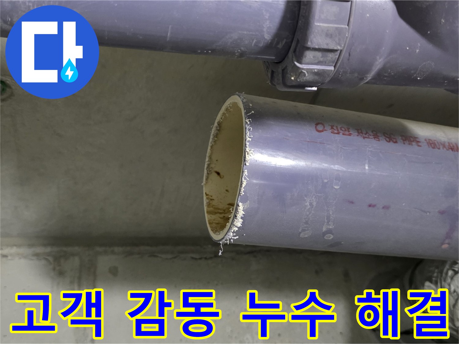 운중동 누수 현장 - 고객에게 누수 문제 해결 과정을 친절하게 설명하는 전문가