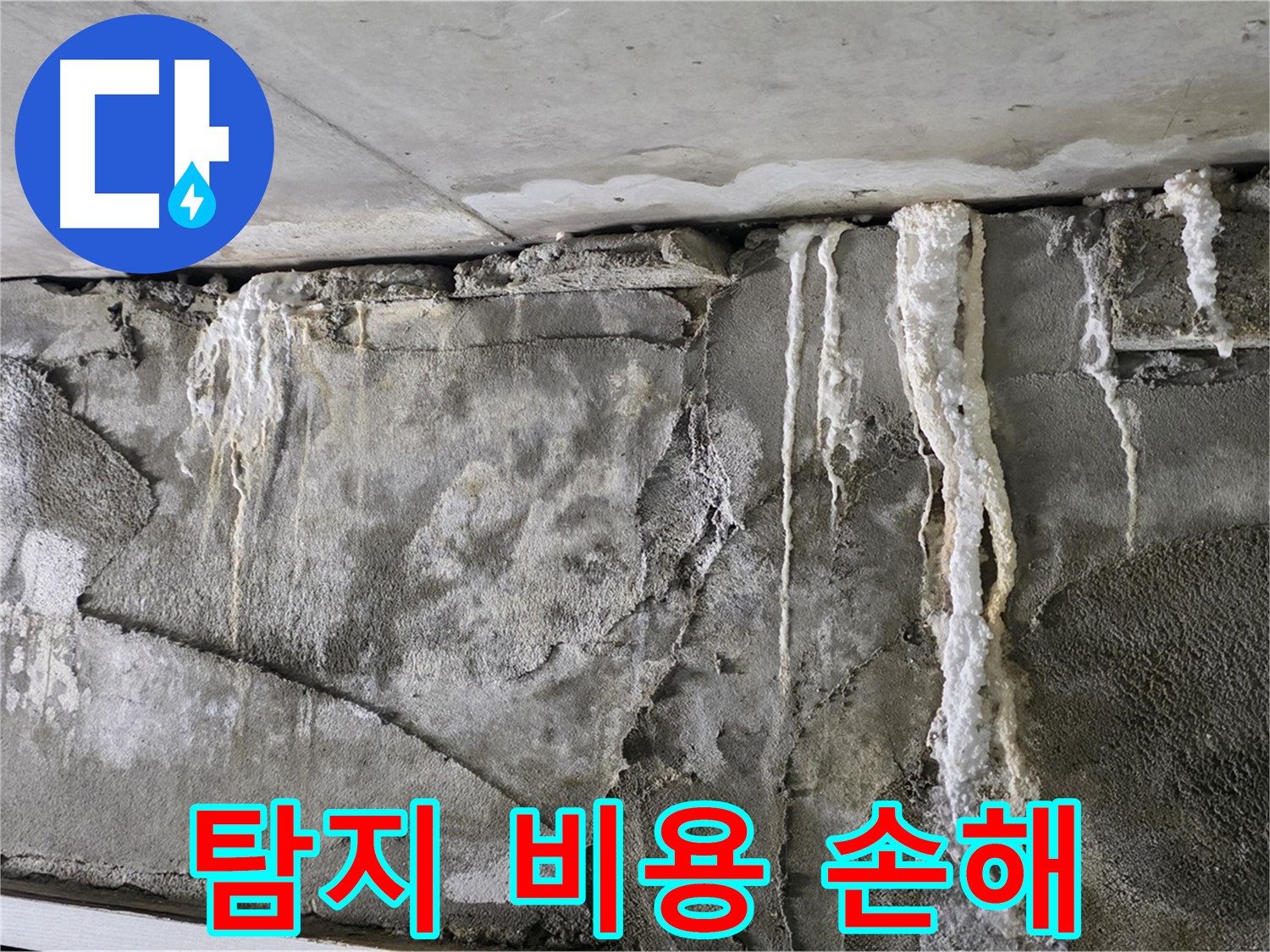 성남 누수 - 탐지 비용 아끼려다 더 큰 손해 발생