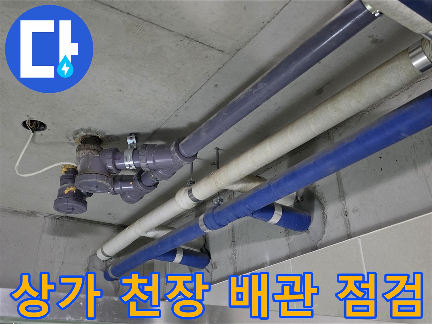 분당 산운마을 상가 천장 배관 점검 - 꼼꼼한 진단과 완벽한 해결