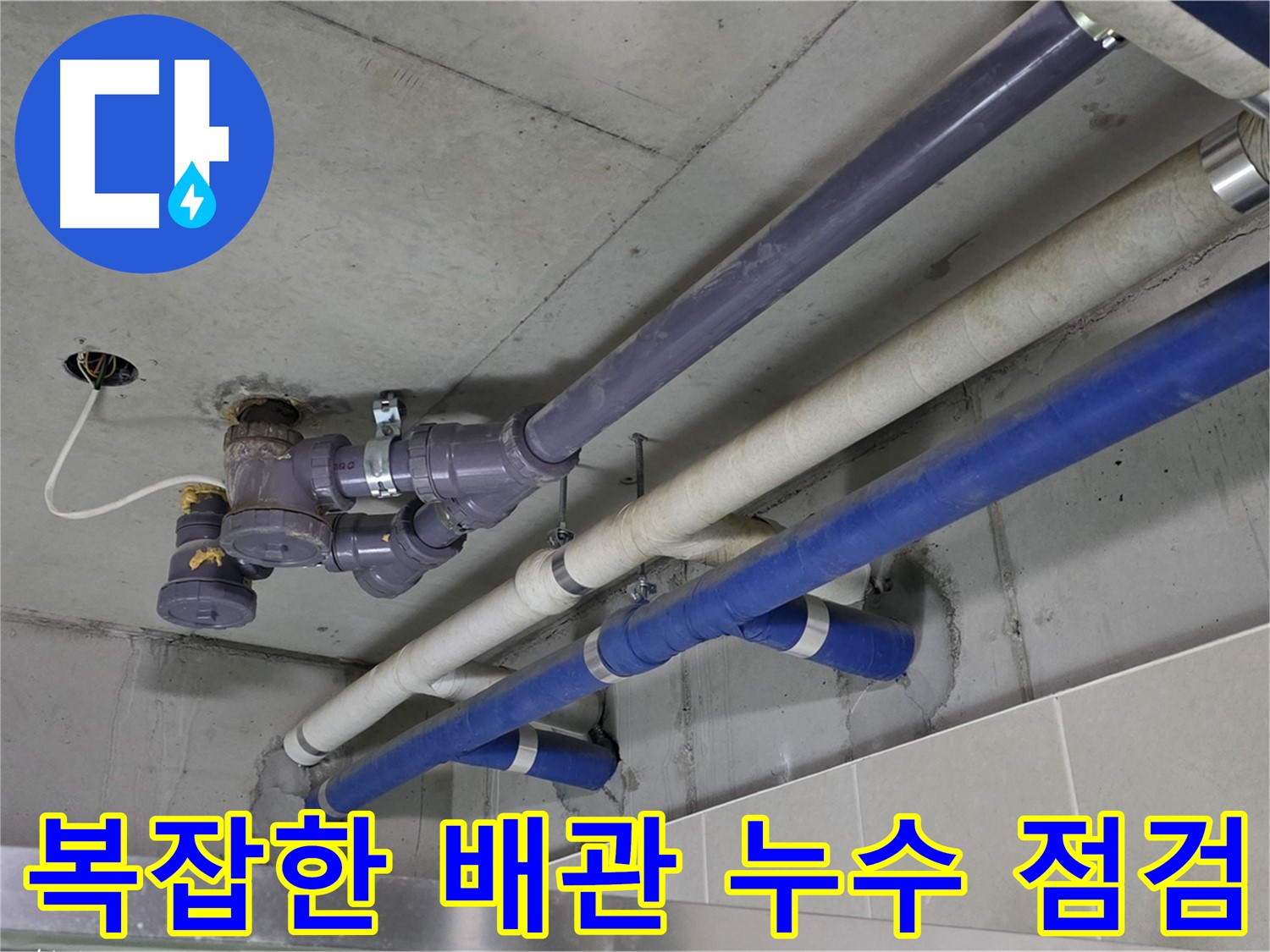 분당 운중동 복잡한 배관 누수 점검 - 꼼꼼한 진단으로 정확한 누수 원인 파악