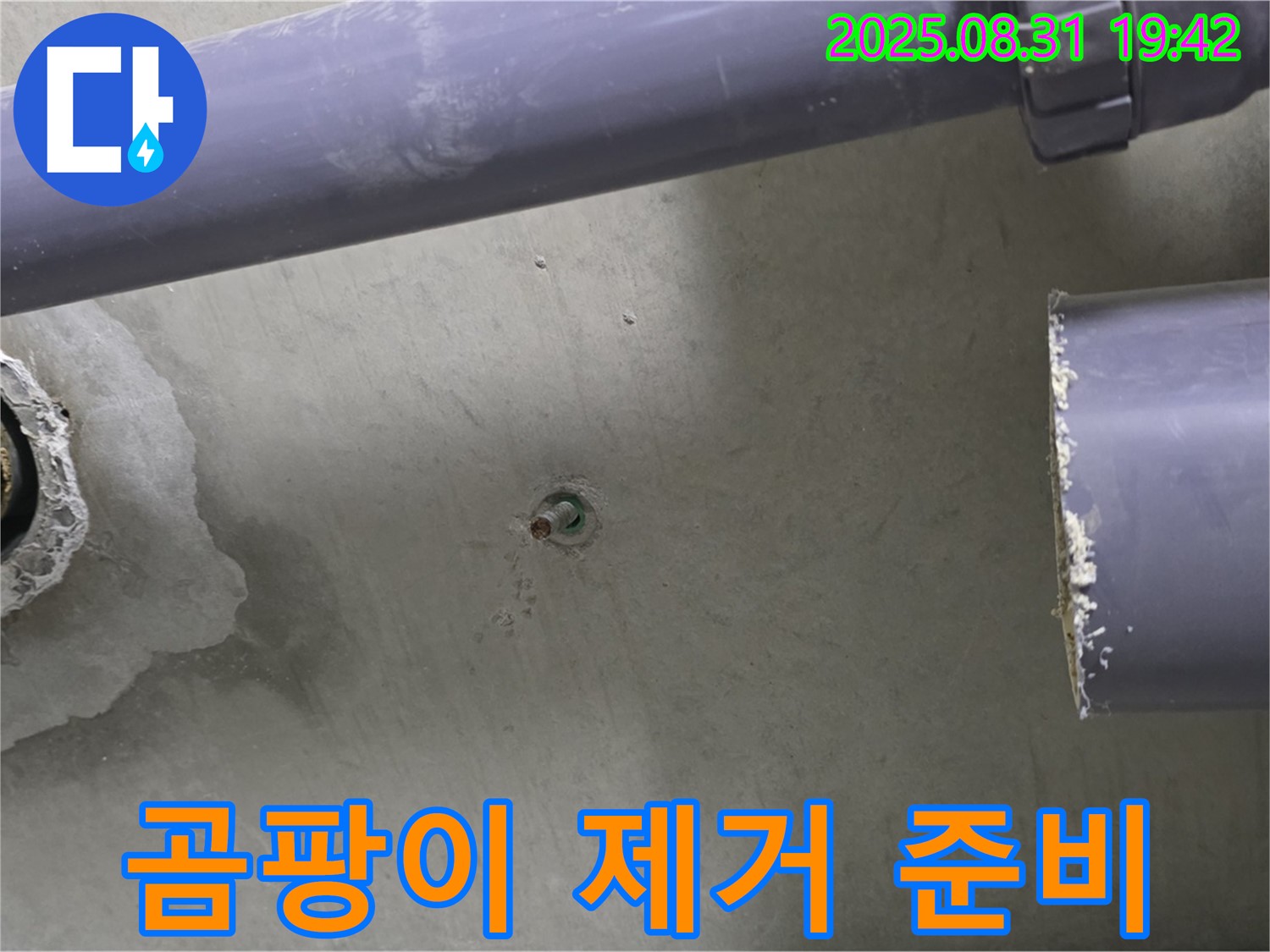 분당 운중동 산운마을 6단지 아파트 누수 - 누수 확인 후 주변 곰팡이 제거 작업을 준비하고 있습니다.