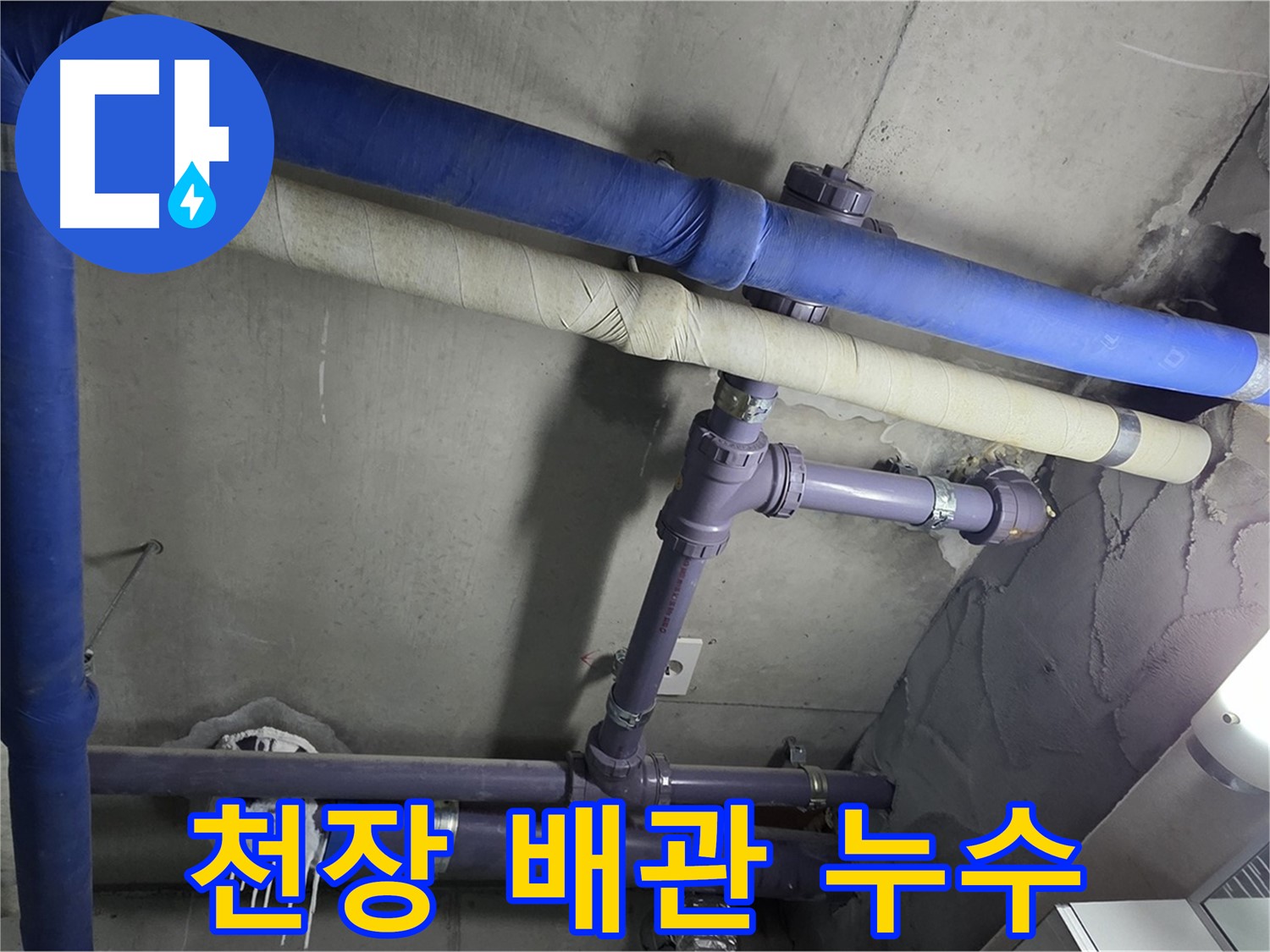 분당 운중동 산운마을 6단지 아파트 천장 배관 누수 - 꼼꼼한 점검으로 누수 지점을 찾아냅니다.
