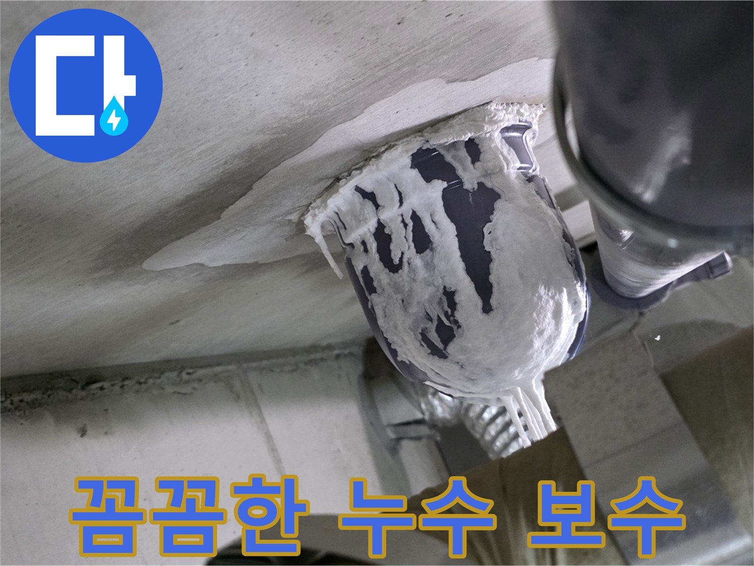 분당 운중동 산운마을 - 꼼꼼하게 누수 보수해서 고객 만족 완료