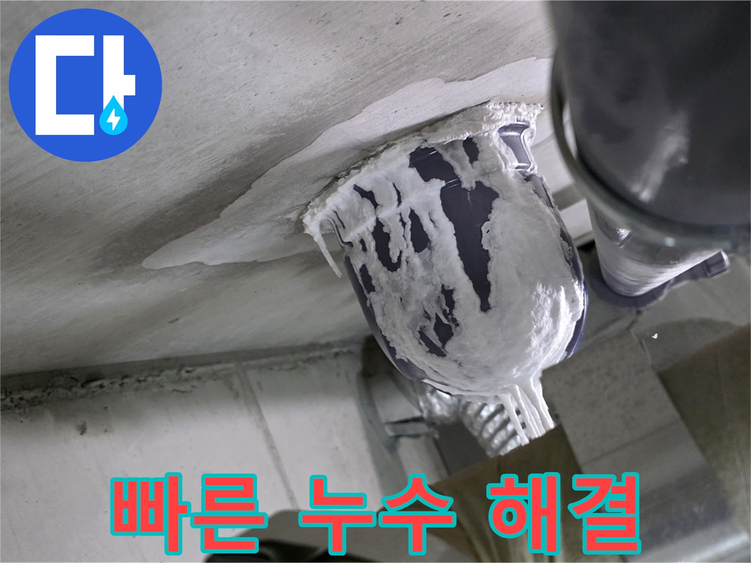 분당 운중동 산운마을 - 빠른 누수 해결로 고객 불편 최소화