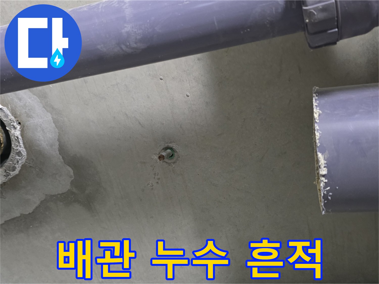 분당 운중동 산운마을에서 발생한 배관 누수 흔적을 보여주는 사진입니다 - 누수탐지 및 공사 전문가의 꼼꼼한 진단과 해결 과정을 담았습니다.
