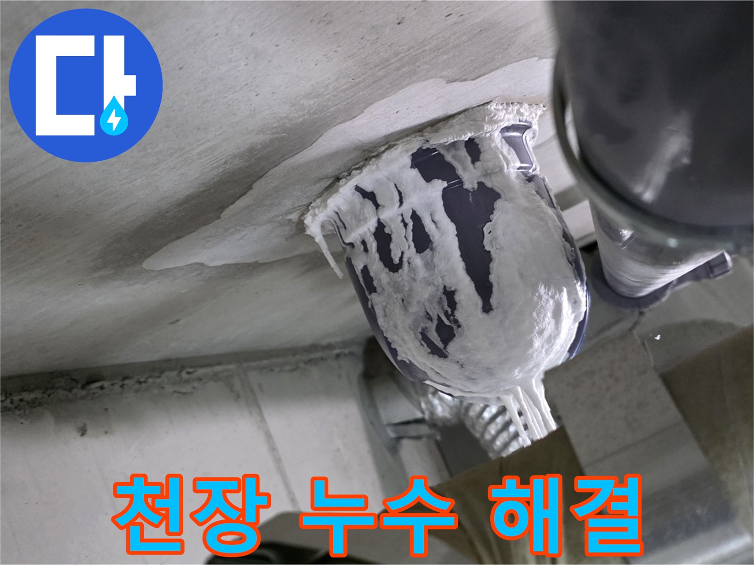 분당 운중동 아파트 누수 - 천장 누수 문제, 완벽하게 해결 완료