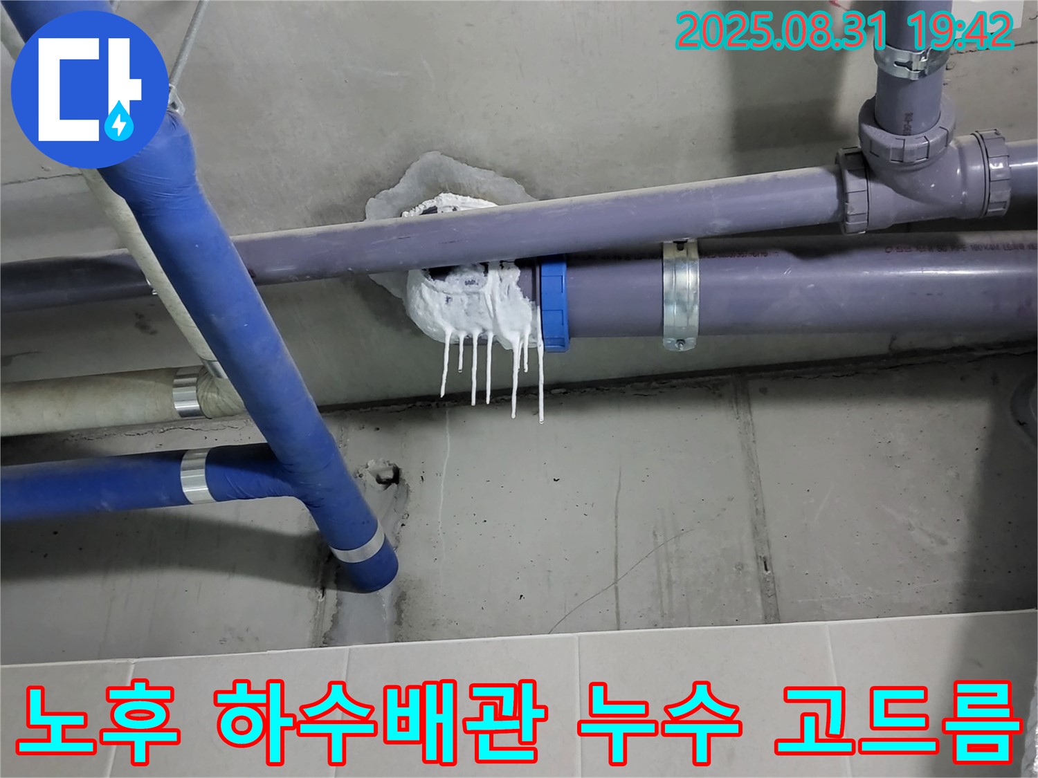 분당 운중동 아파트에서 발생한 노후 하수배관 누수 - 천장 점검구에서 발견된 누수 흔적과 고드름