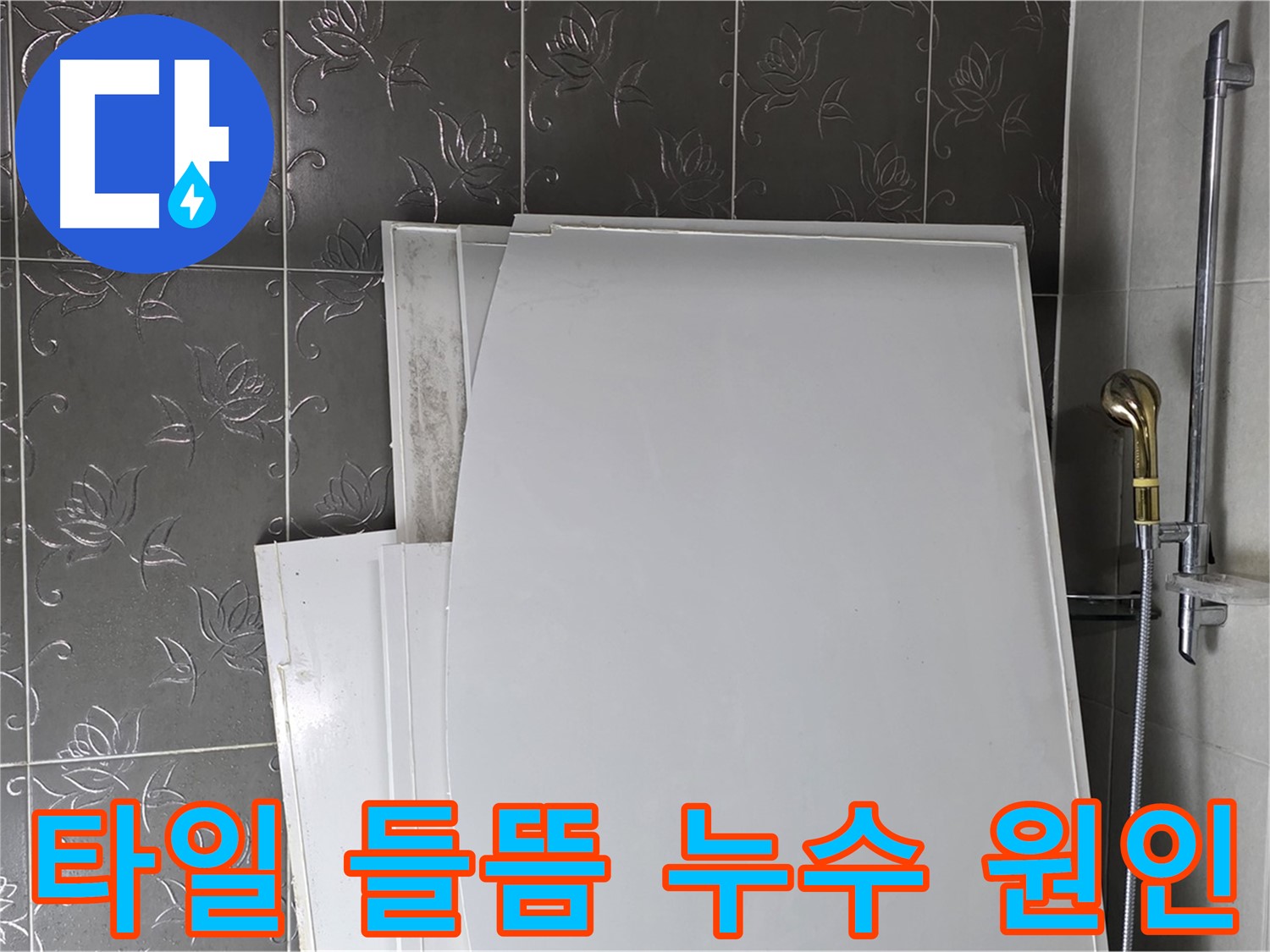 분당 운중동 욕실 누수 - 타일 들뜸 현상과 누수의 관계 분석 및 해결