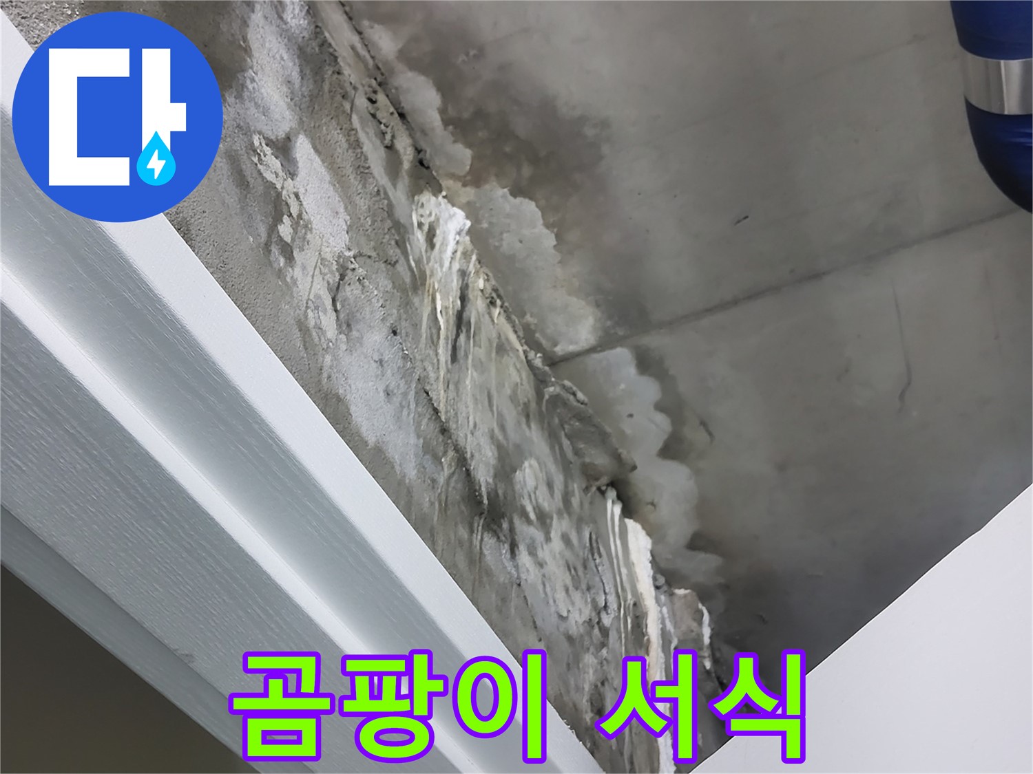 분당 운중동 - 콘크리트 벽 누수 - 석회수 - 곰팡이 서식 환경 제공