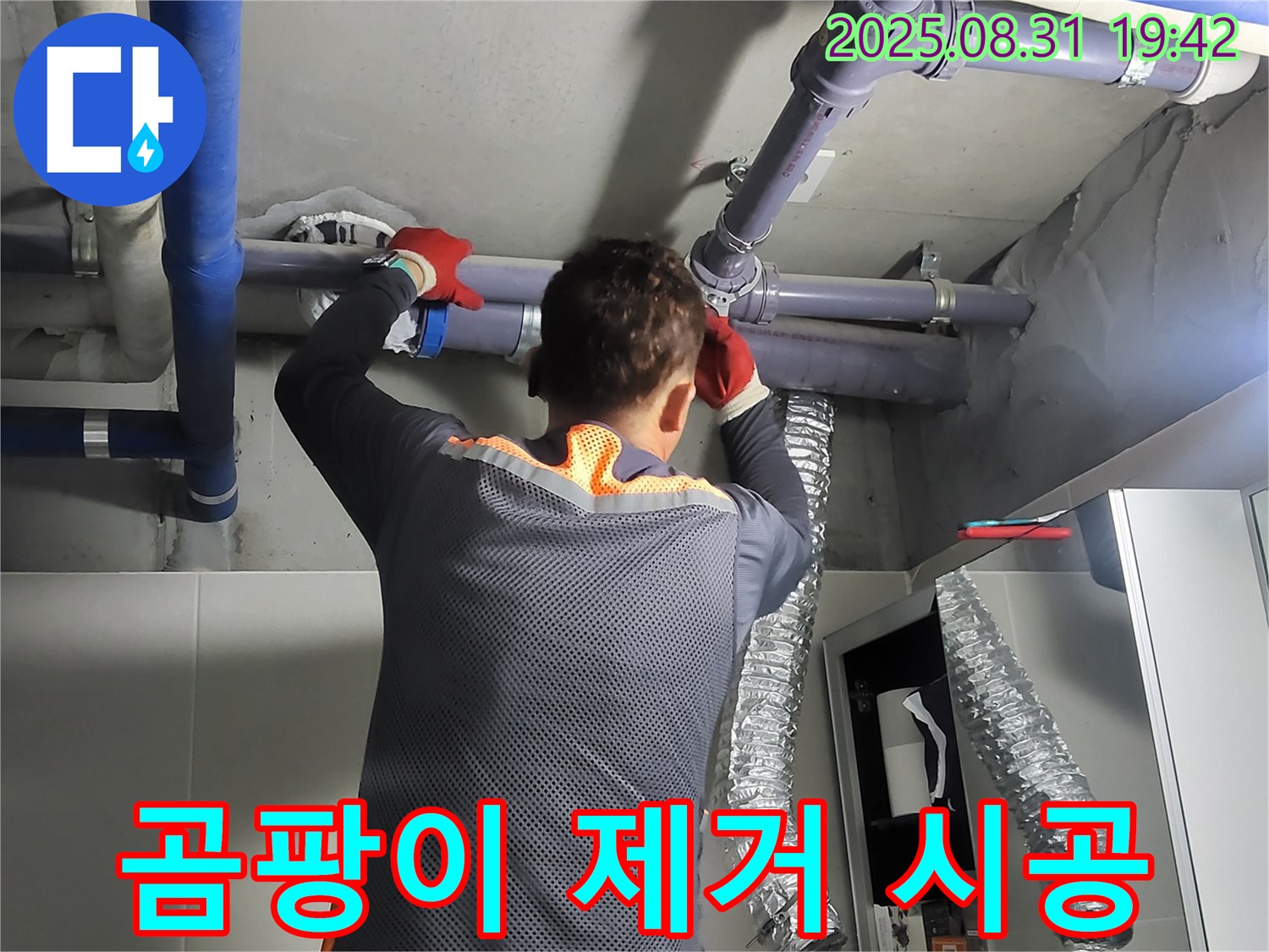분당 운중동에서 곰팡이 문제를 완벽하게 제거하고 재발 방지 시공을 진행합니다 - 쾌적한 환경을 약속드립니다.