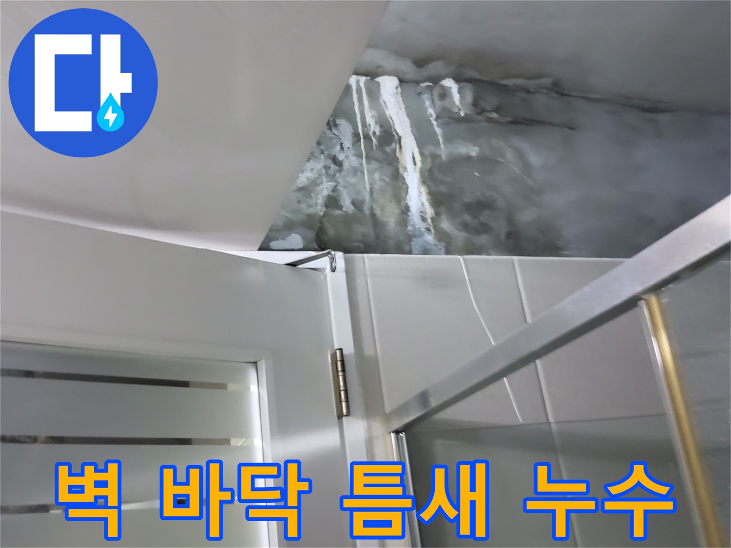 분당구 운중동 샤워부스 벽과 바닥 틈새 누수 발생 - 전문적인 누수 차단 시공 과정