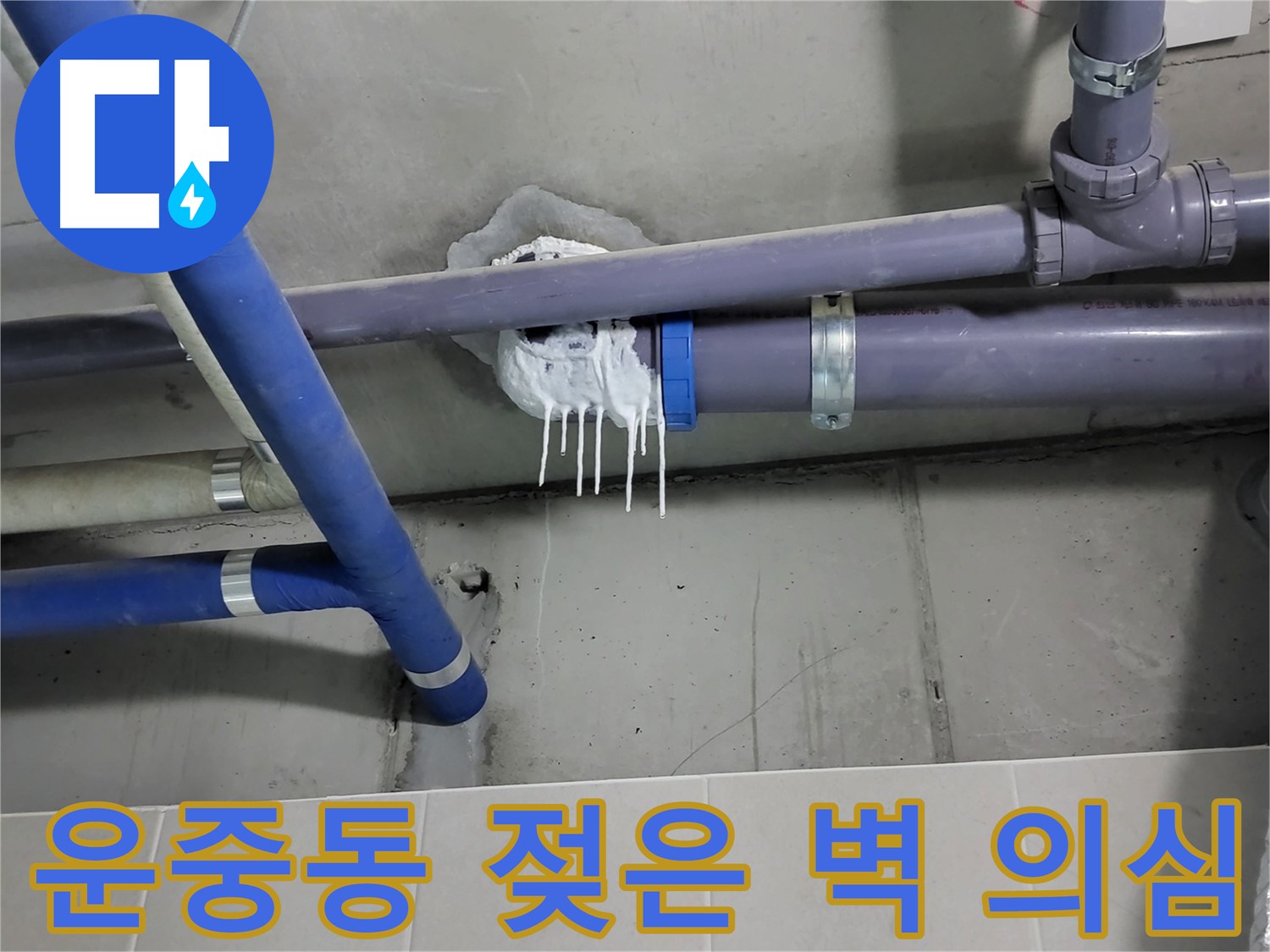 분당구 운중동 하수 누수 - 젖은 벽면과 곰팡이 의심