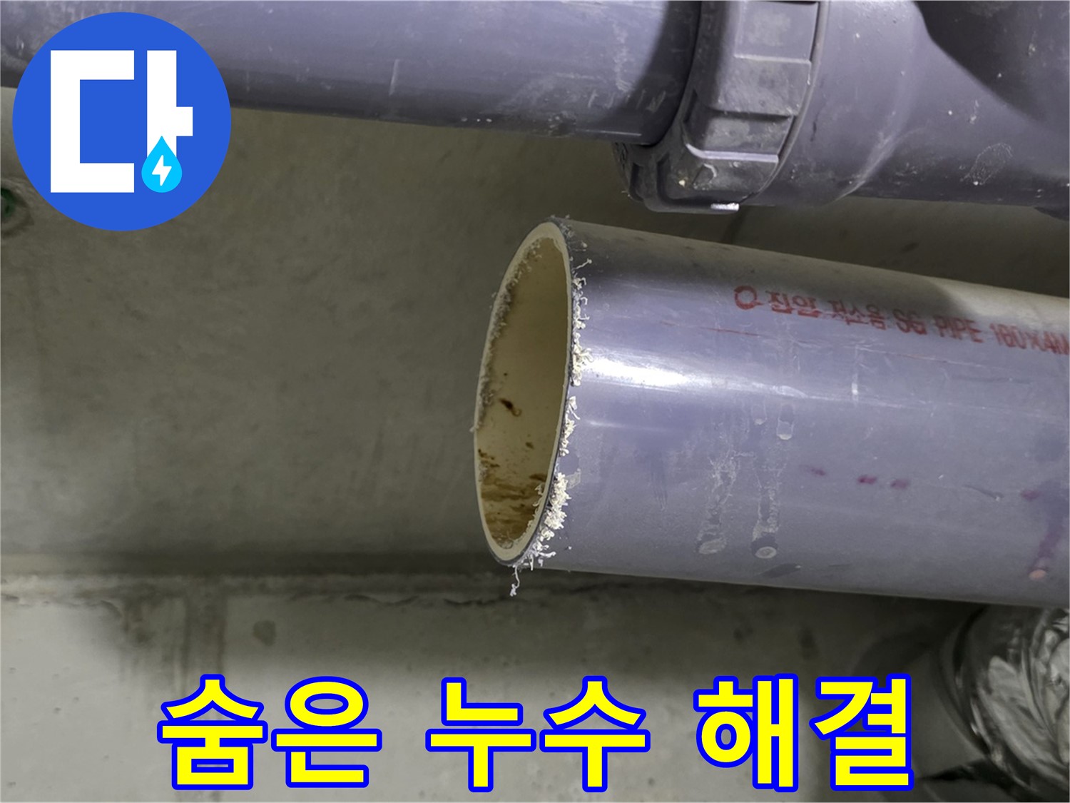 성남 누수 현장 - 첨단 누수 탐지 장비를 사용하여 숨어있는 누수를 탐지하는 모습 - 샅샅이 찾아 해결합니다.
