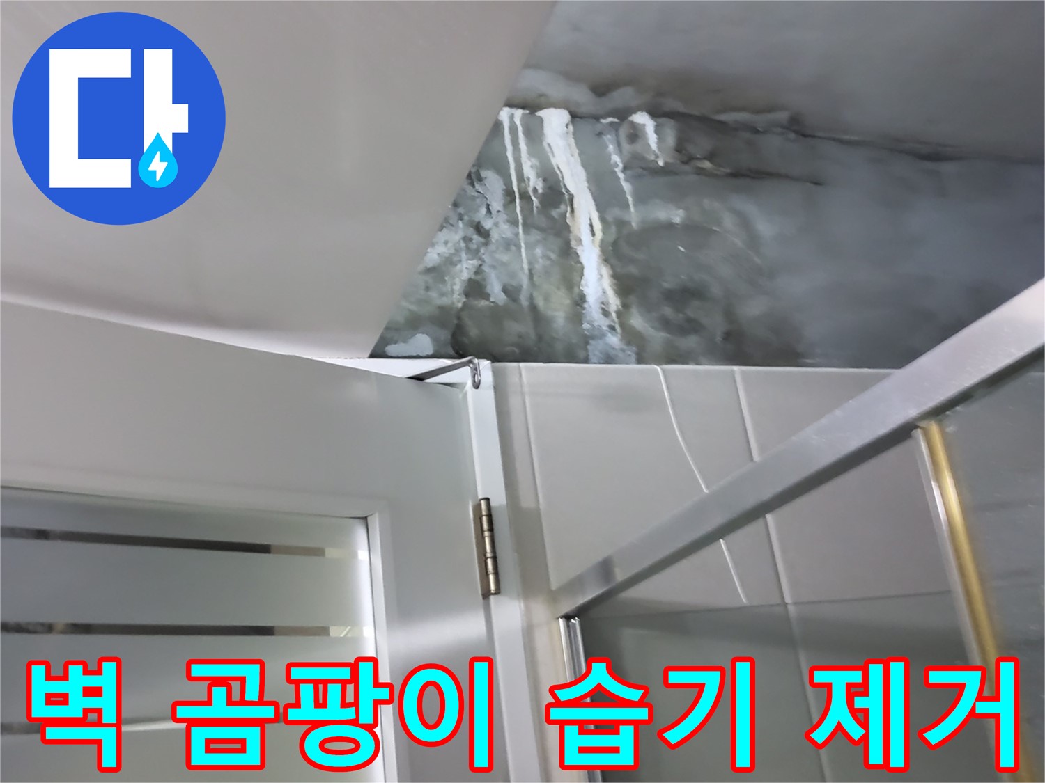 성남 분당 샤워부스 벽면 곰팡이 및 습기 제거 후 누수 점검 - 꼼꼼한 확인