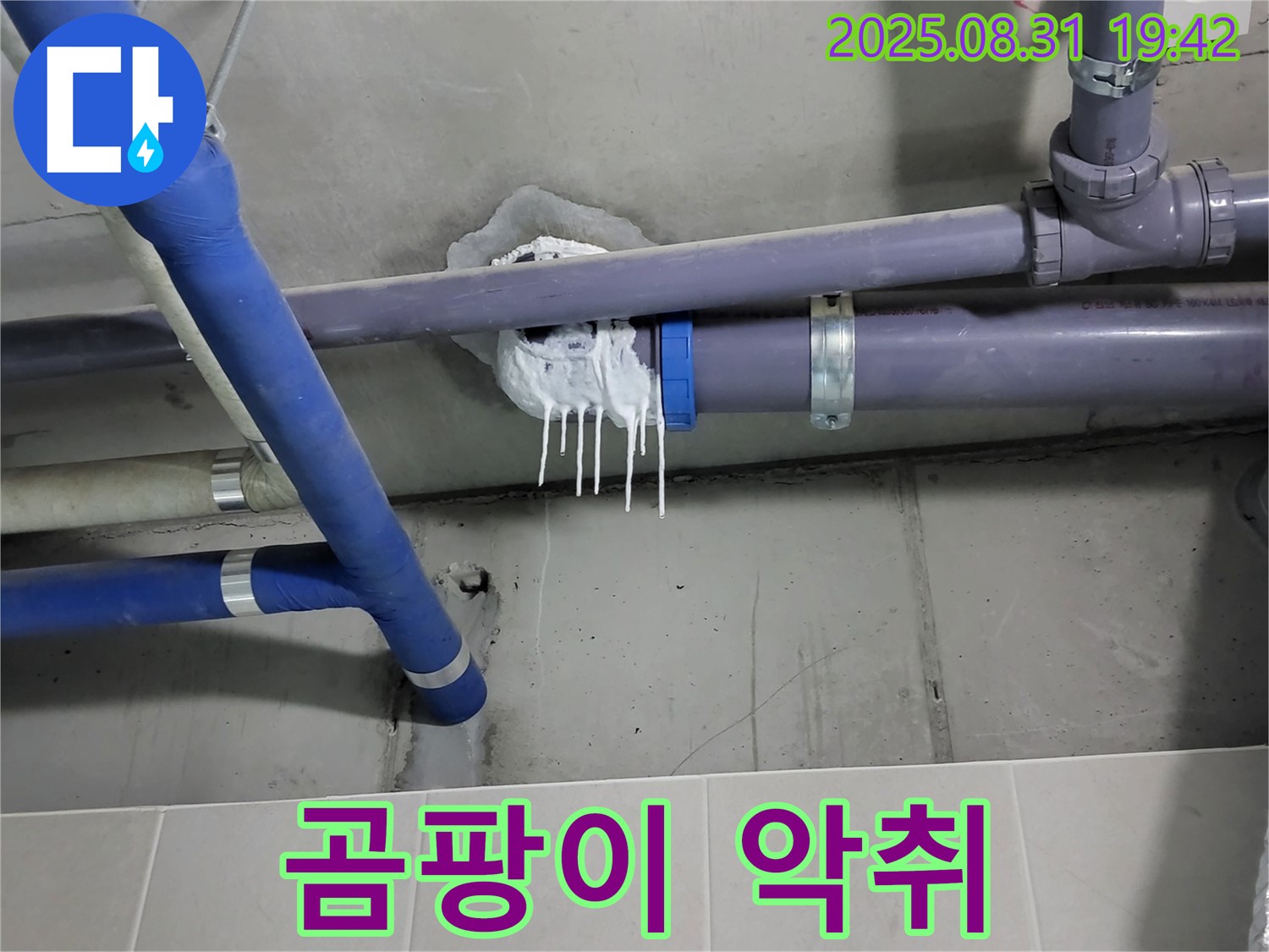 성남 분당 운중동 산운로 주택 욕실 누수 - 핀 시공 주변 백시멘트 곰팡이 및 악취 발생 확인
