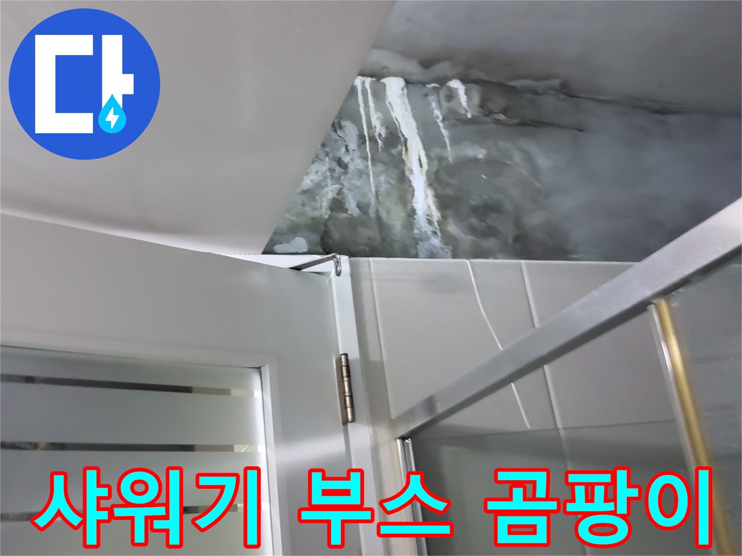 성남 분당 운중동 아파트 샤워기 부스 주변 벽 곰팡이 문제 - 누수 원인 해결 과정