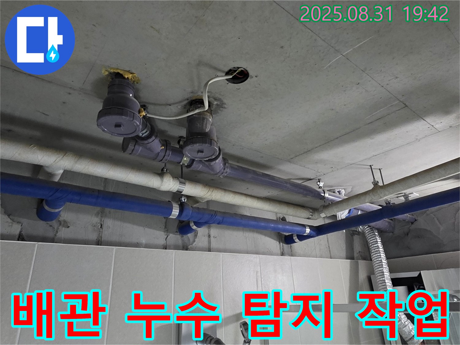 성남 분당에서 배관 누수 탐지 작업 진행 - 정확한 진단으로 누수 문제 해결!