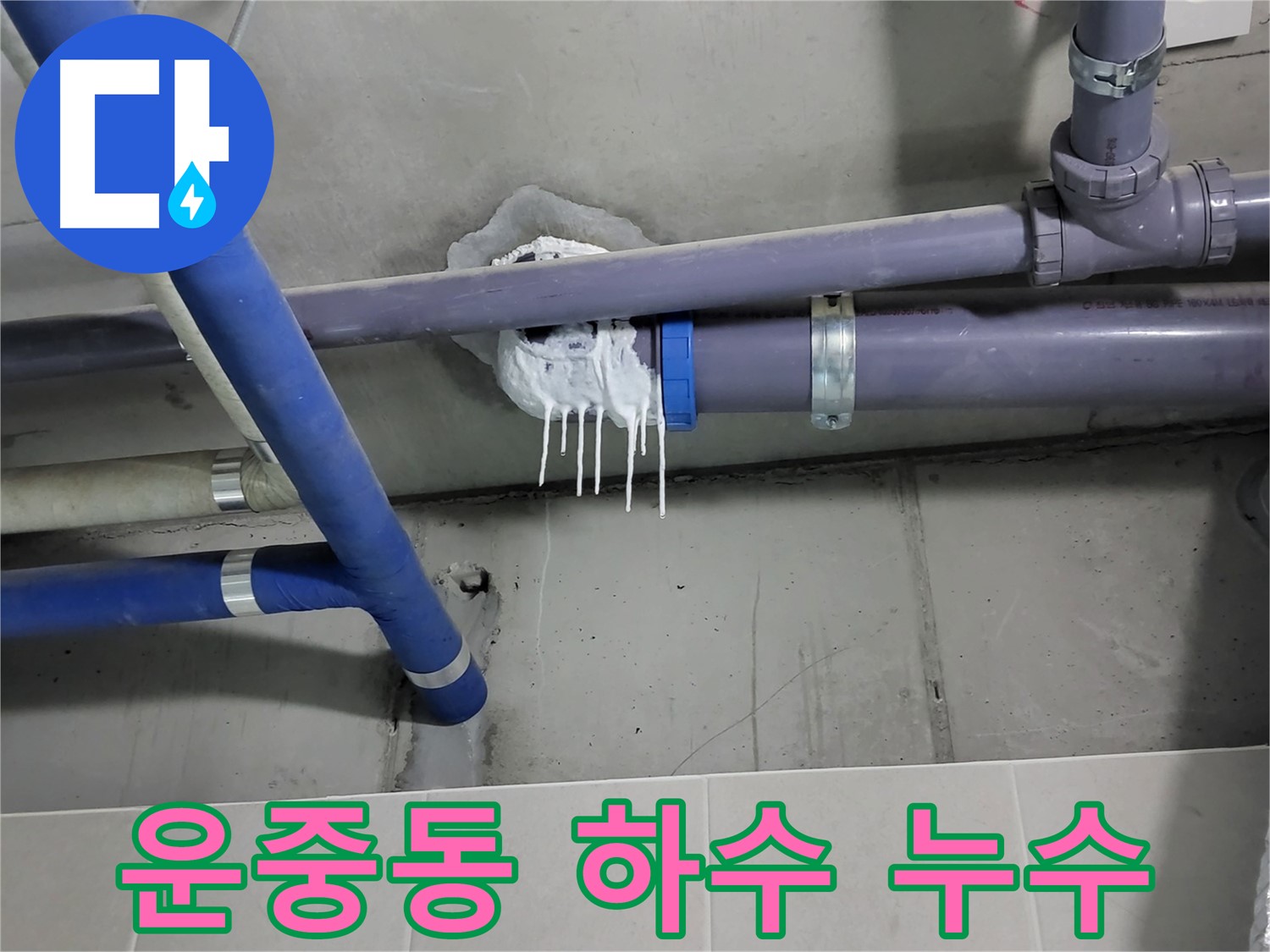 운중동 건물 하수 오수 배관 노후 누수 - 하얀 고드름 모양이 장기간 누수를 입증합니다.