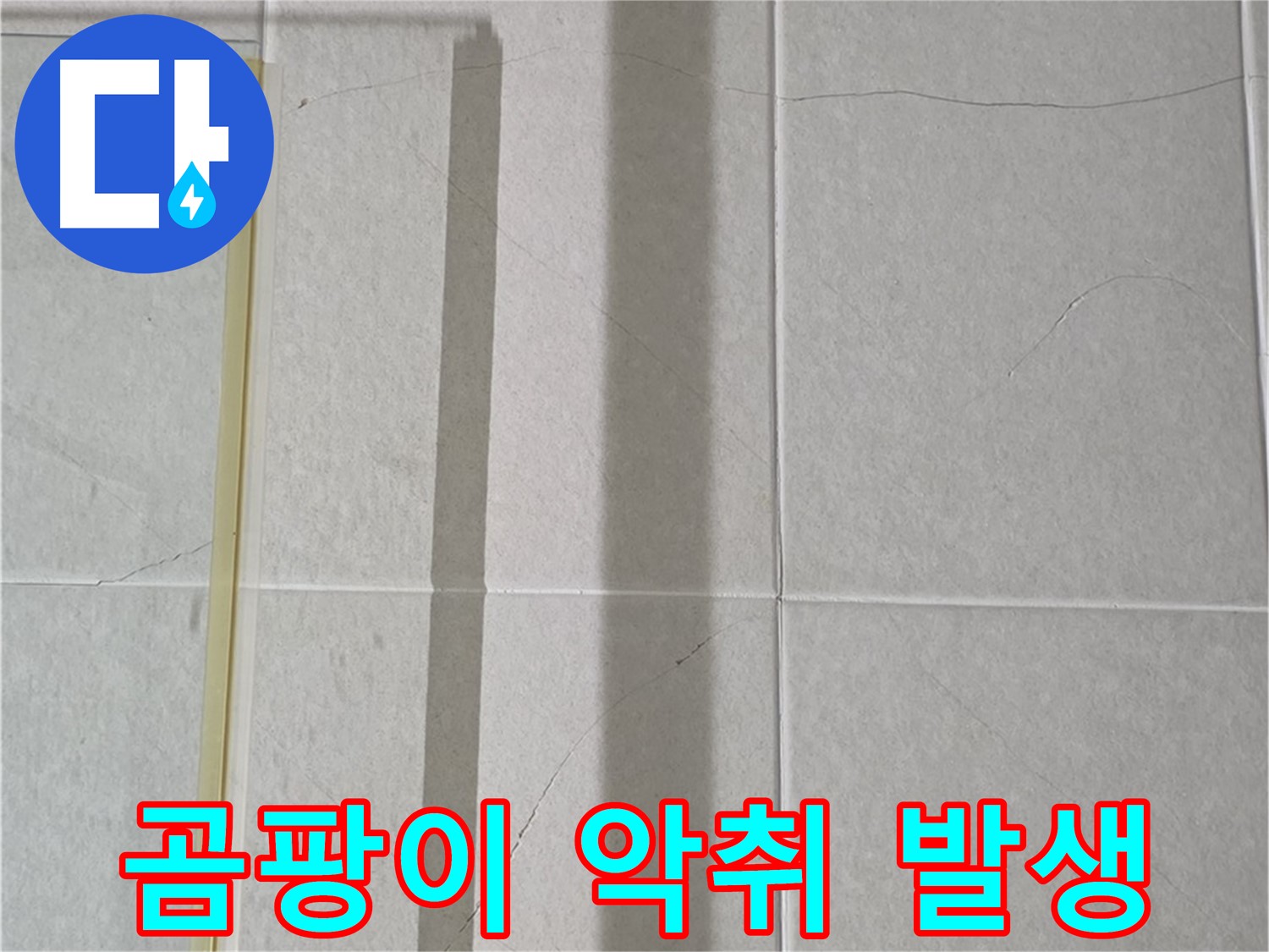 운중동 산운마을 6단지 샤워부스 - 벽면 누수, 타일 틈새 곰팡이 확산 및 악취 발생