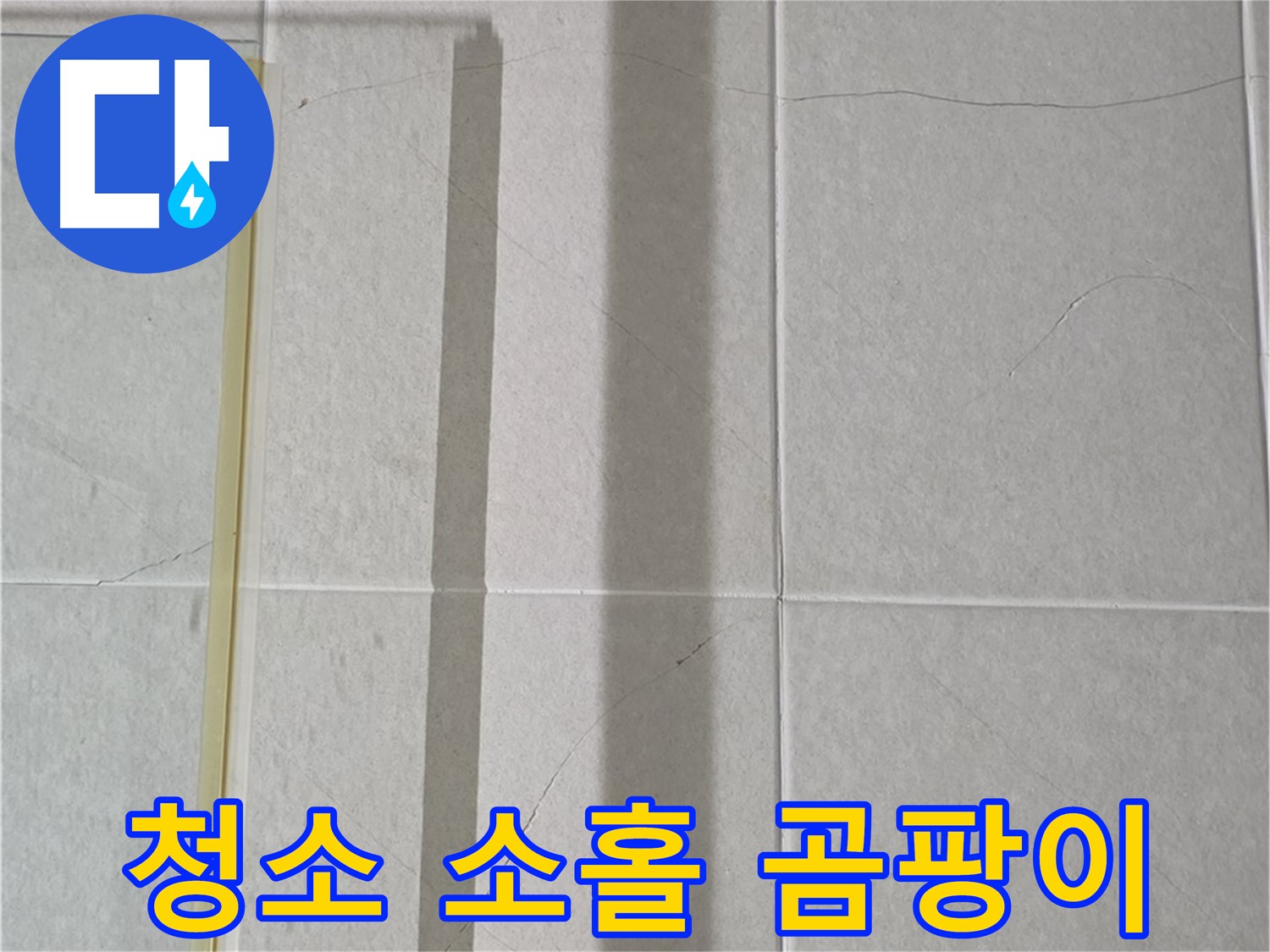 운중동 산운마을 샤워부스 - 벽면 타일 틈새 누수, 욕실 청소 소홀로 인한 곰팡이 서식