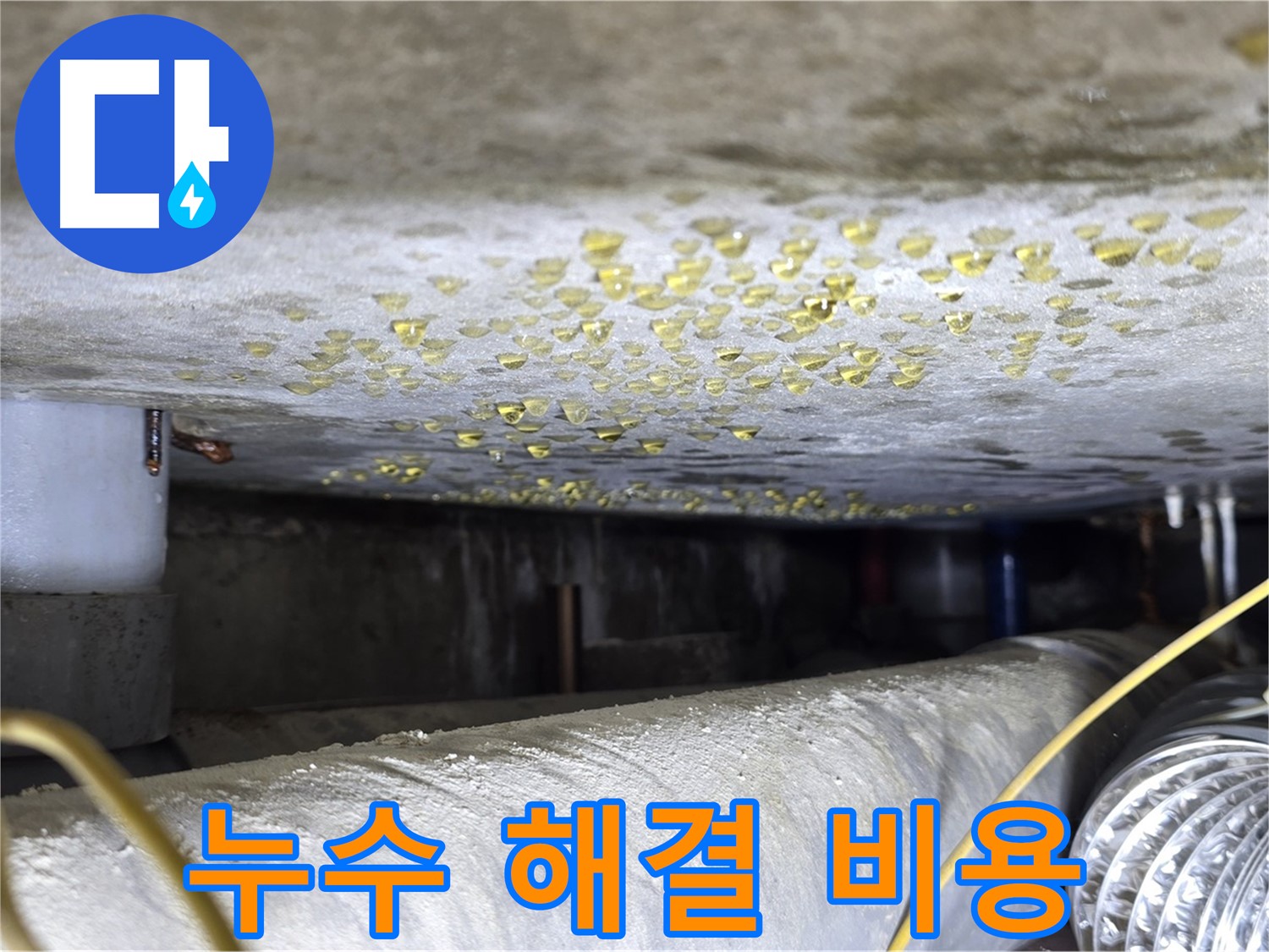 광진구 능동 빌라 천장 누수 - 합리적인 누수 해결 비용을 제시합니다.