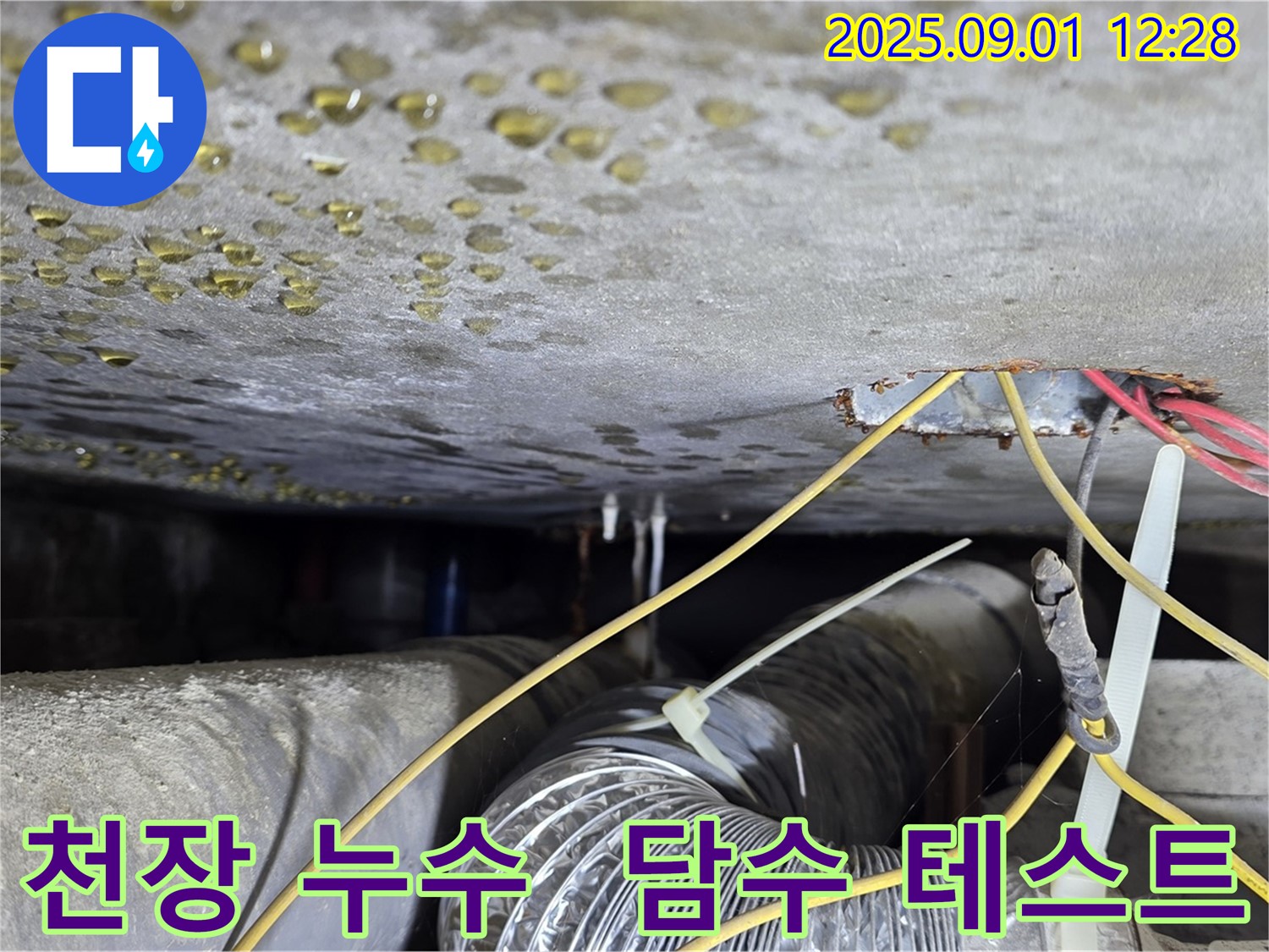 광진구 능동 아성빌라트 천장 누수 - 담수 테스트를 통해 콘크리트 균열과 배관 주변 누수 확인