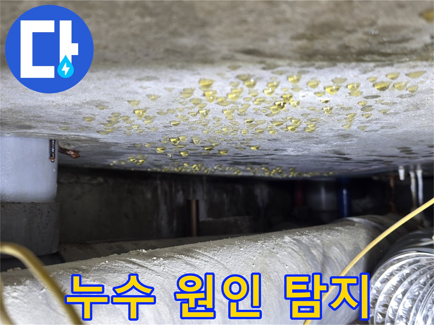 능동 아성빌라트 천장 누수 - 누수 원인을 찾기 위한 탐지 작업