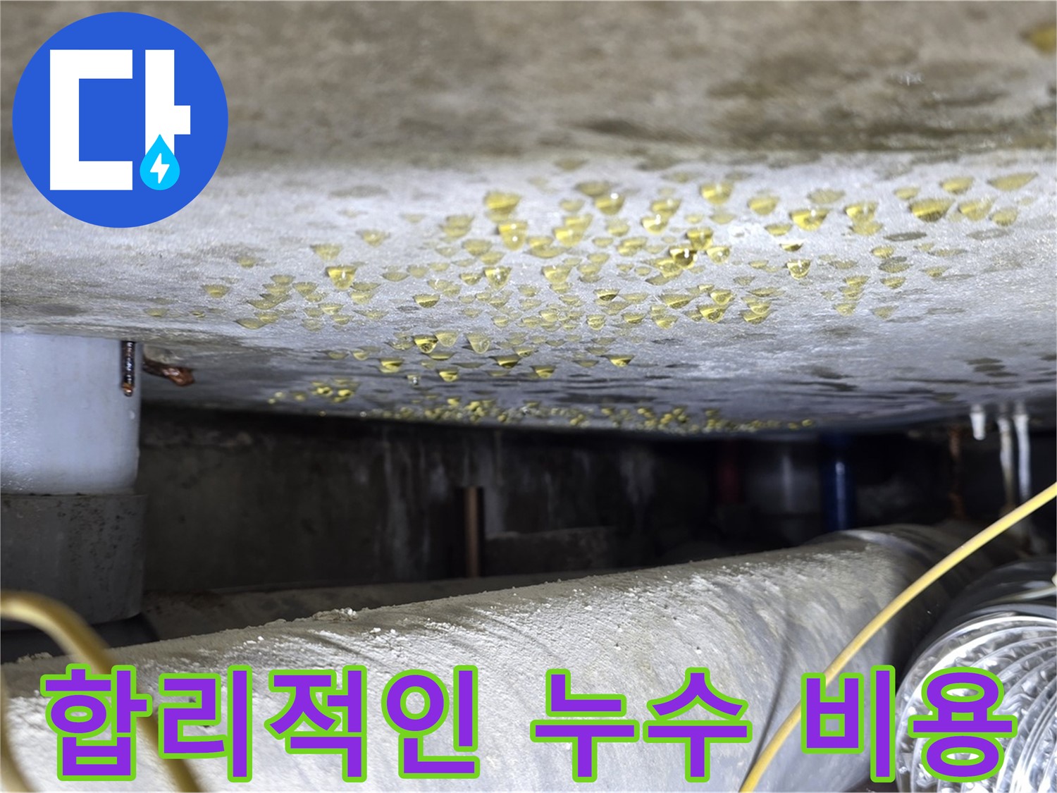 능동 아성빌라트 천장 누수 - 합리적인 비용으로 누수 해결