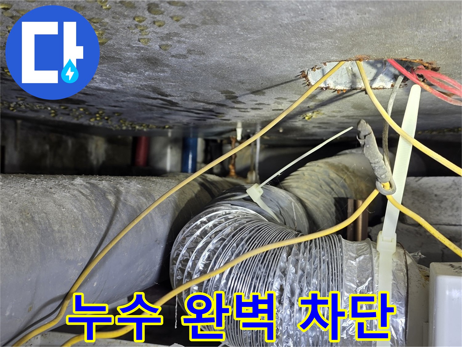 능동 천장 누수 완벽 차단 성공 - 고객 만족 후기 공개