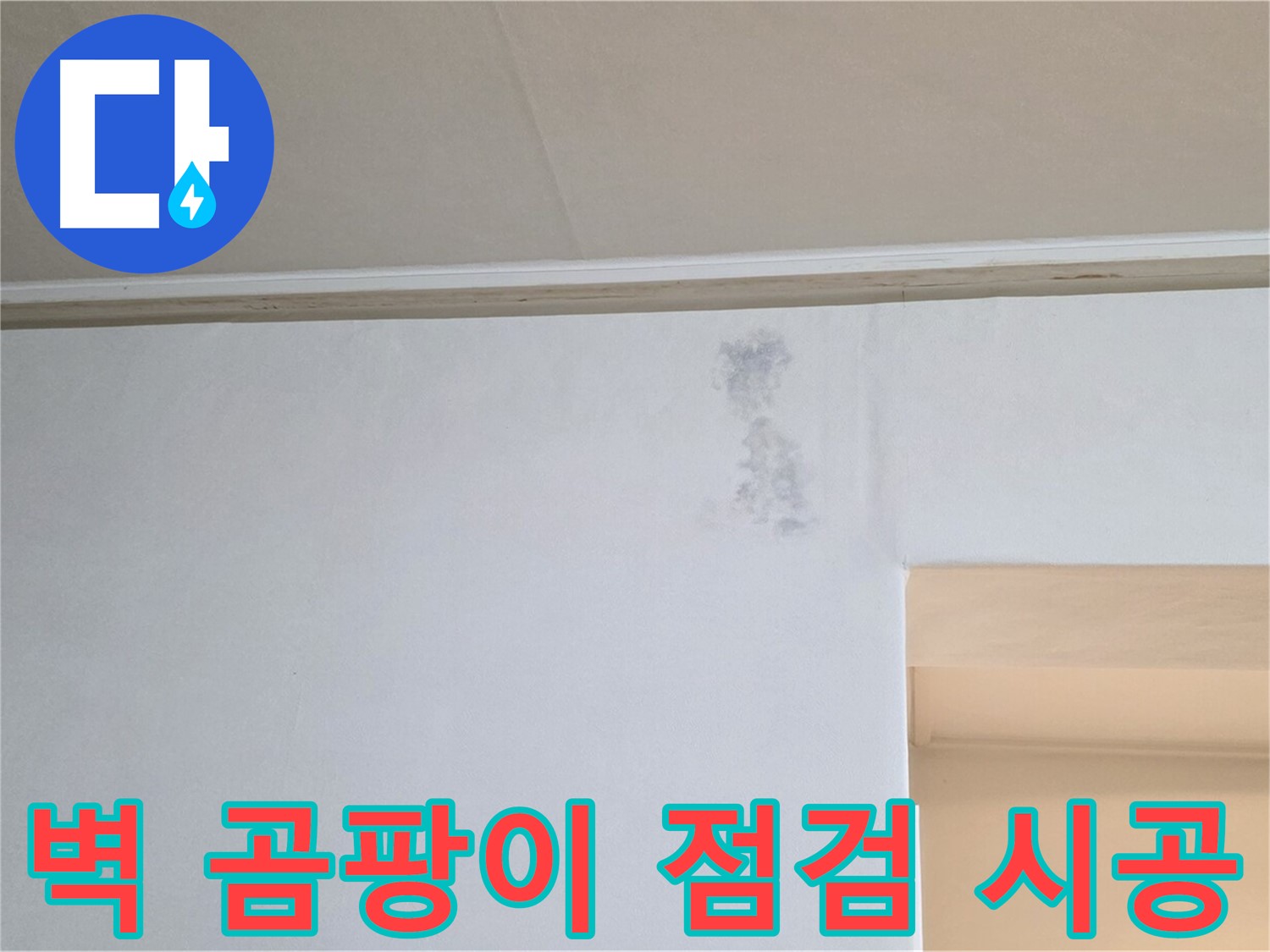 벽 곰팡이 - 꼼꼼한 점검과 확실한 시공으로 곰팡이 문제를 해결합니다.