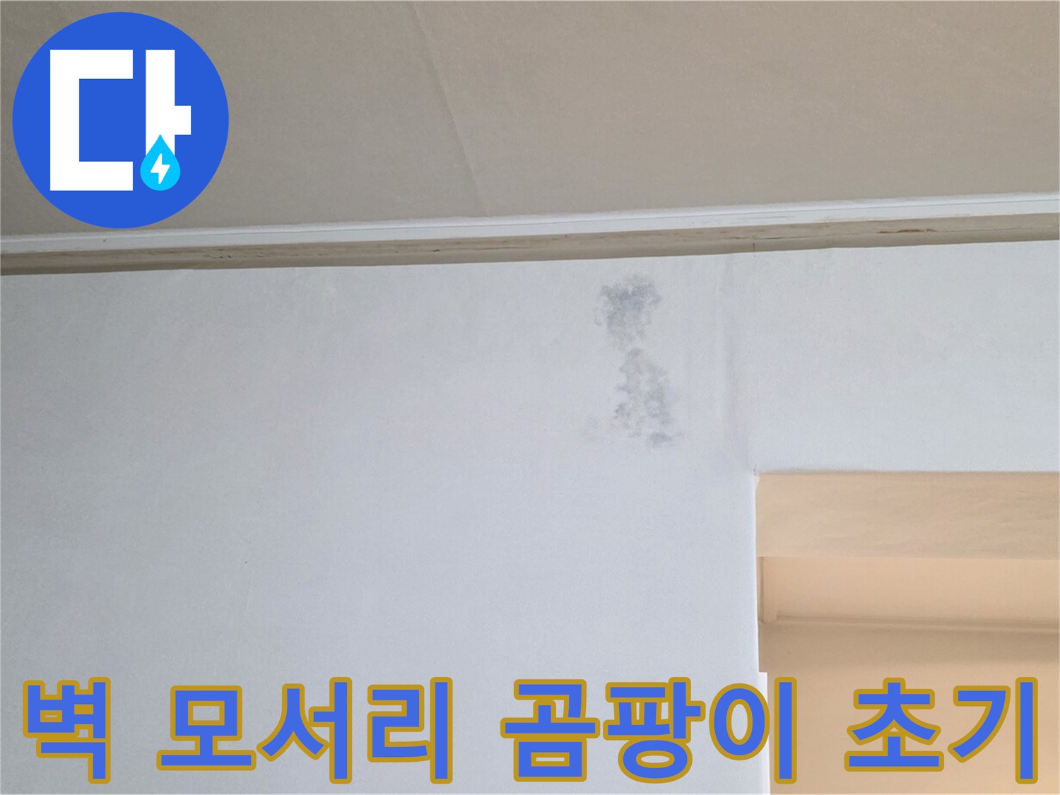 벽 모서리 곰팡이 - 초기 누수 시 나타나는 곰팡이 발생 모습입니다. 빠른 진단과 조치가 필요합니다.
