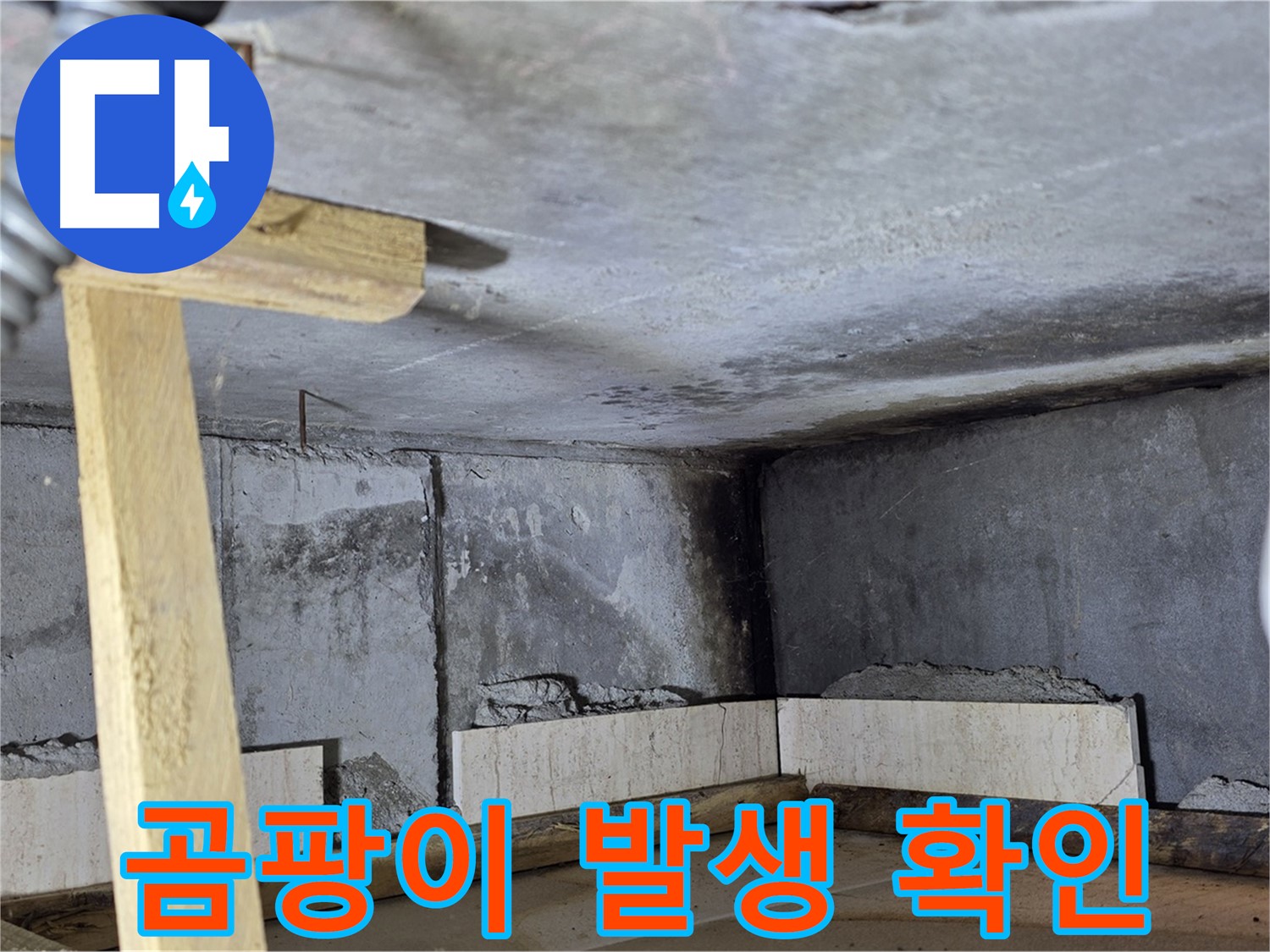 천장 누수 부위 주변 곰팡이 - 건강에 해로워요