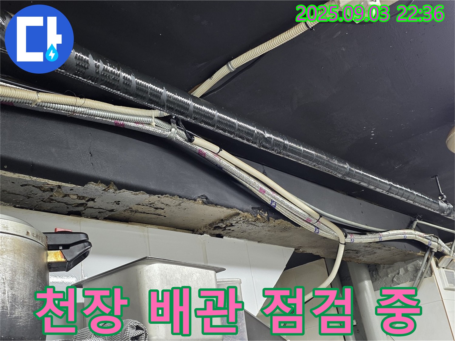 이태원 누수 현장 - 천장 배관의 상태를 꼼꼼하게 점검
