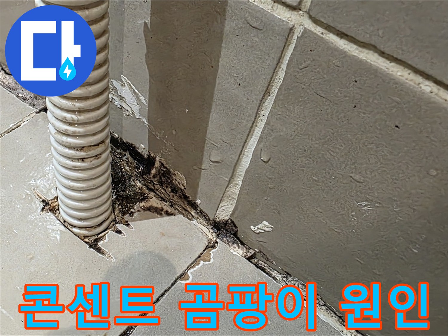 용산구 상가 누수 - 콘센트 배관 주변 곰팡이, 누수 원인 집중 분석