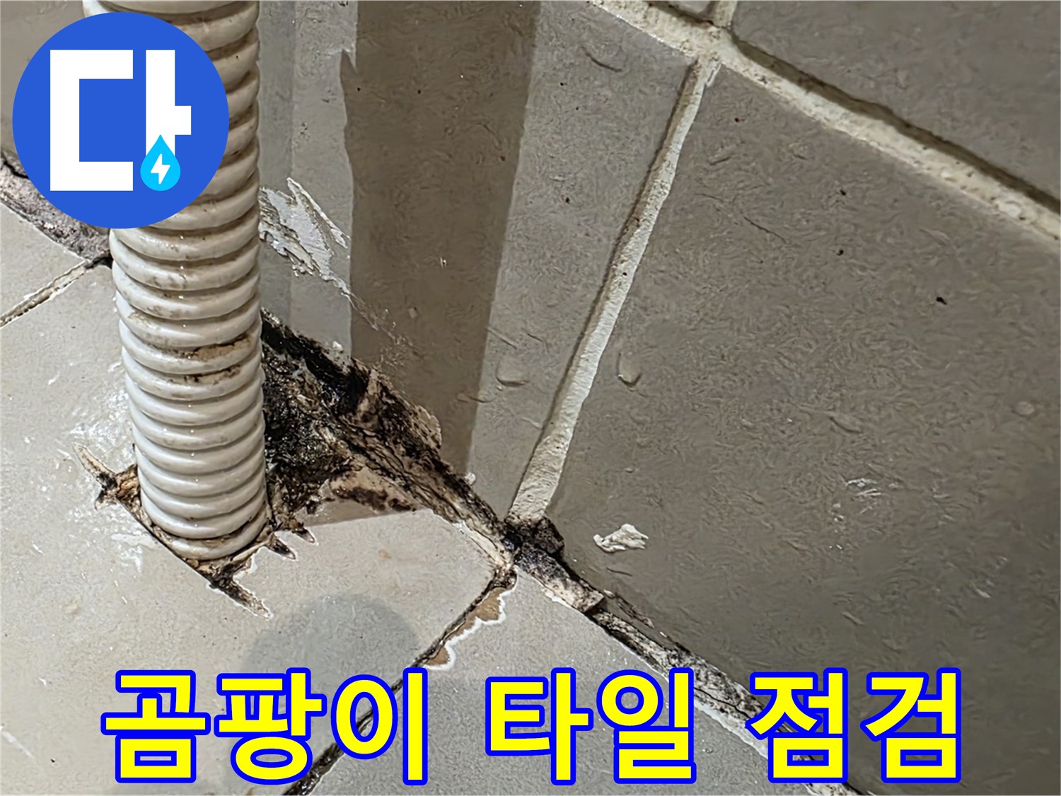 용산구 상가 화장실 누수 - 배관 주변 곰팡이와 타일 들뜸 꼼꼼 점검