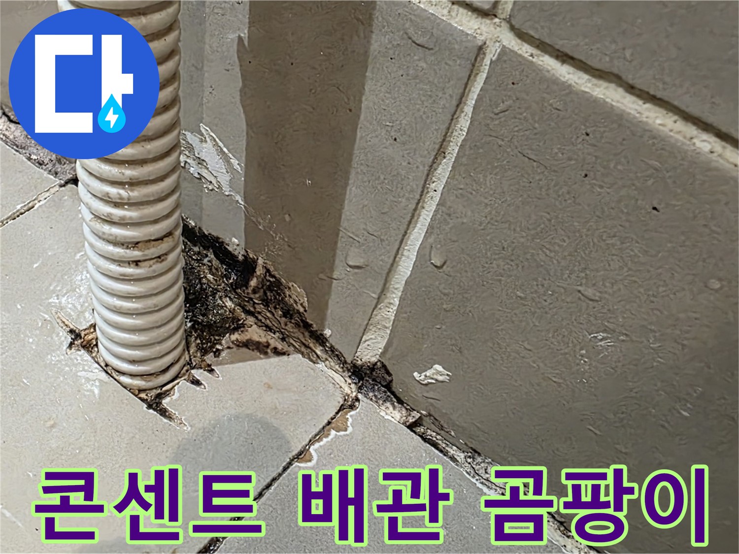 용산구 한강로2가 누수 - 콘센트 배관 주변 심각한 곰팡이 발생