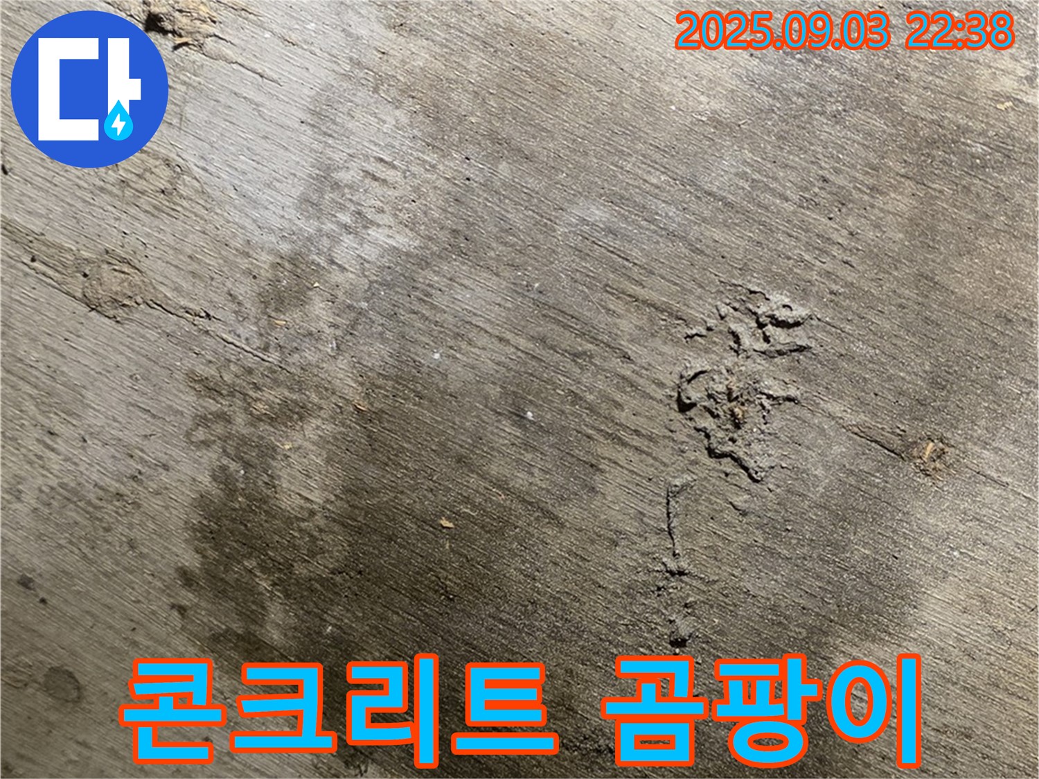 한강로2가 누수 - 콘크리트 표면에 곰팡이가 발생한 모습. 습한 환경으로 인한 2차 피해를 보여줍니다.
